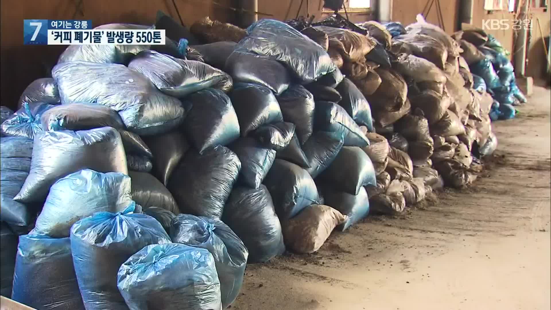 [여기는 강릉] 버려지는 커피 부산물 ‘한 달 550톤’…대안 시급
