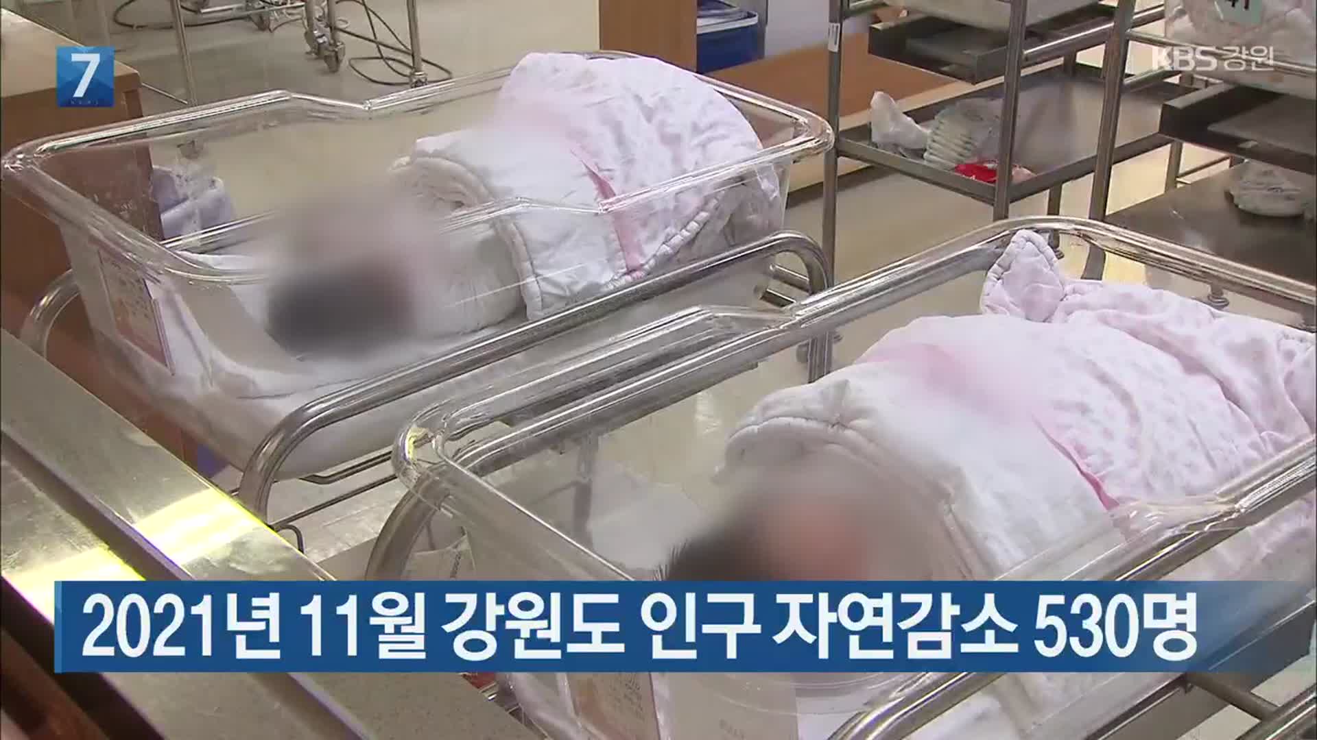 2021년 11월 강원도 인구 자연감소 530명