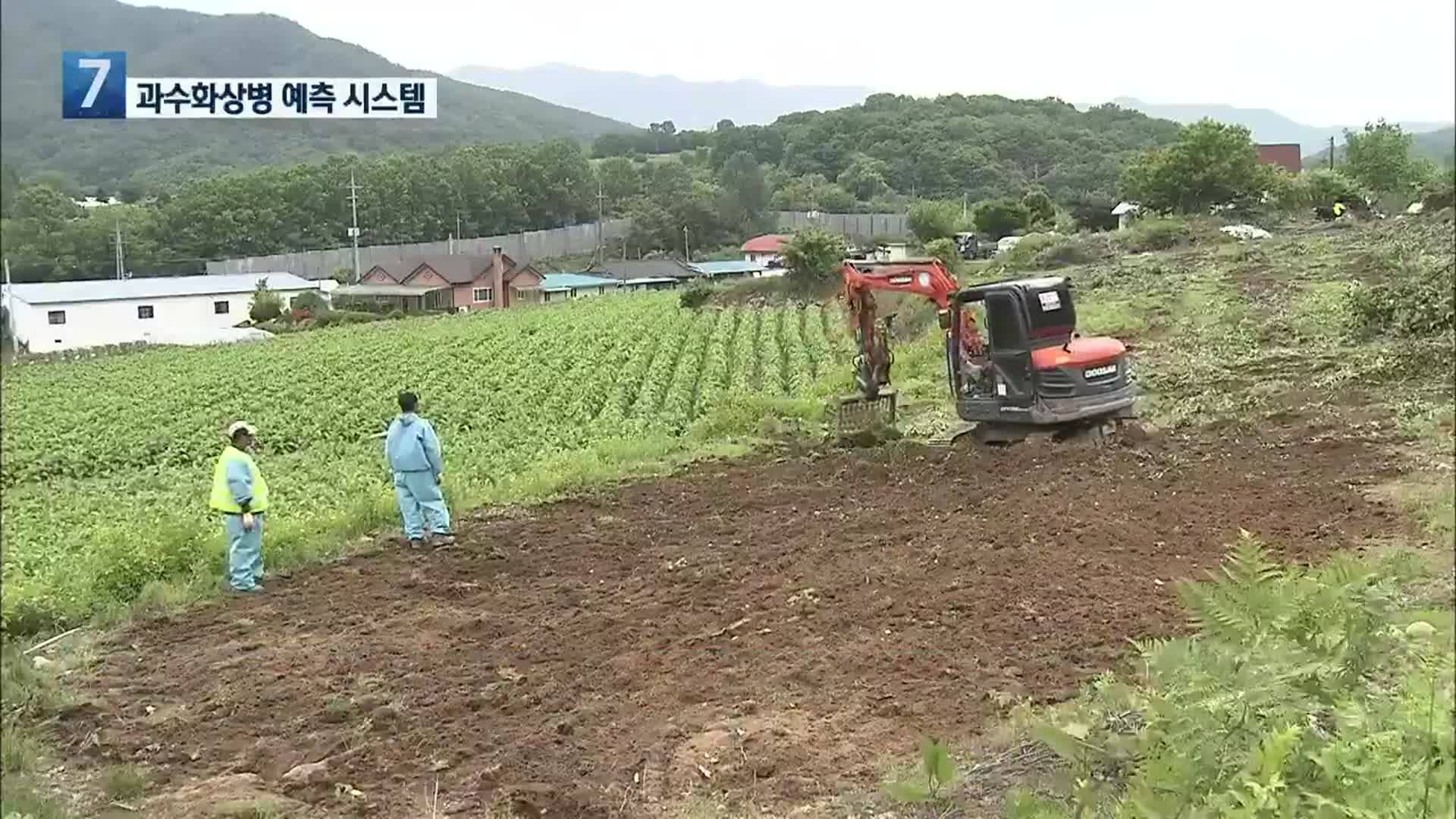 [여기는 원주] 과수화상병 예측 시스템, 강원 남부 시범 도입