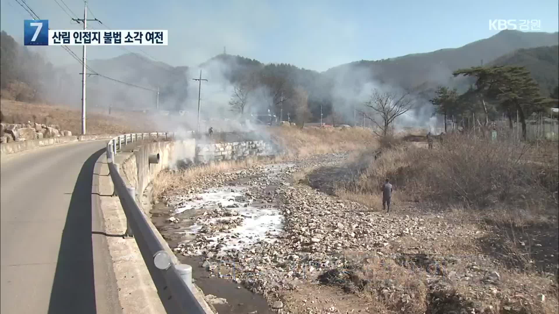 코 앞이 숲인데…산림 인접지 불법 소각 여전