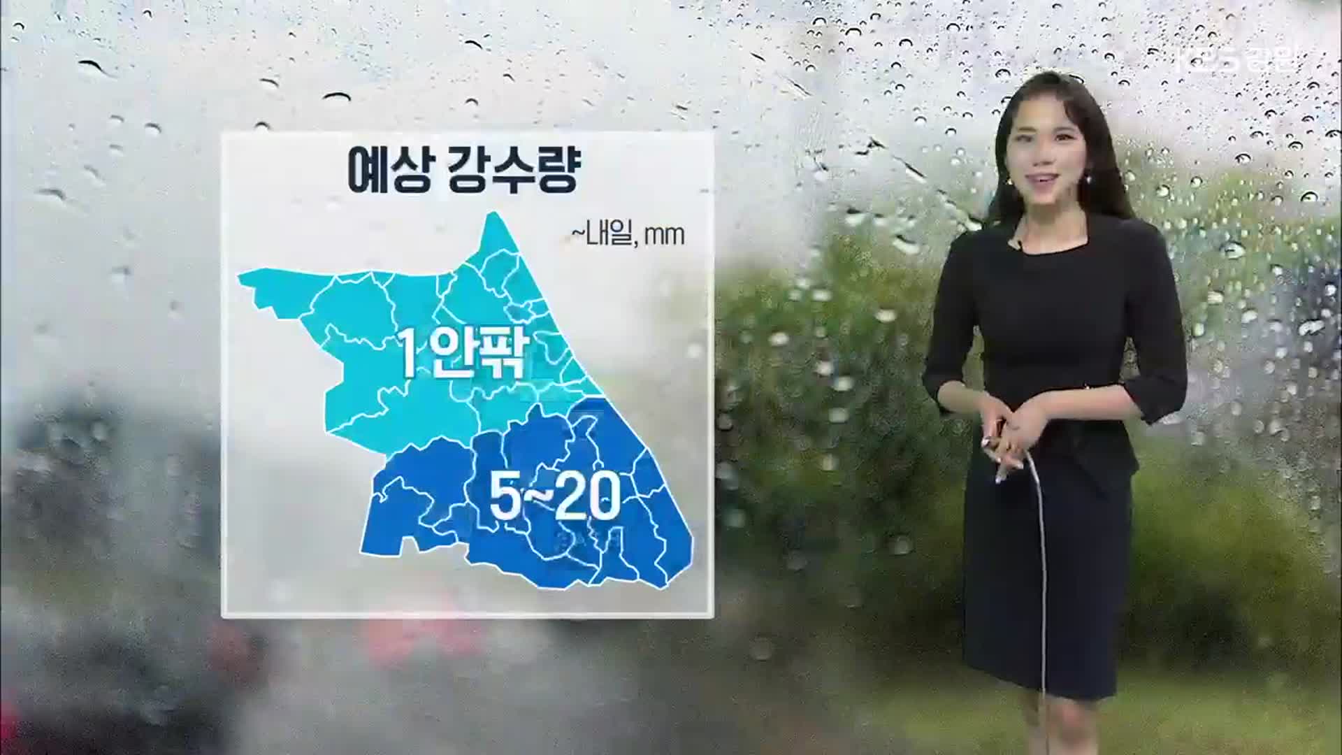 [날씨] 강원 내일까지 비…산지 중심 안개 주의