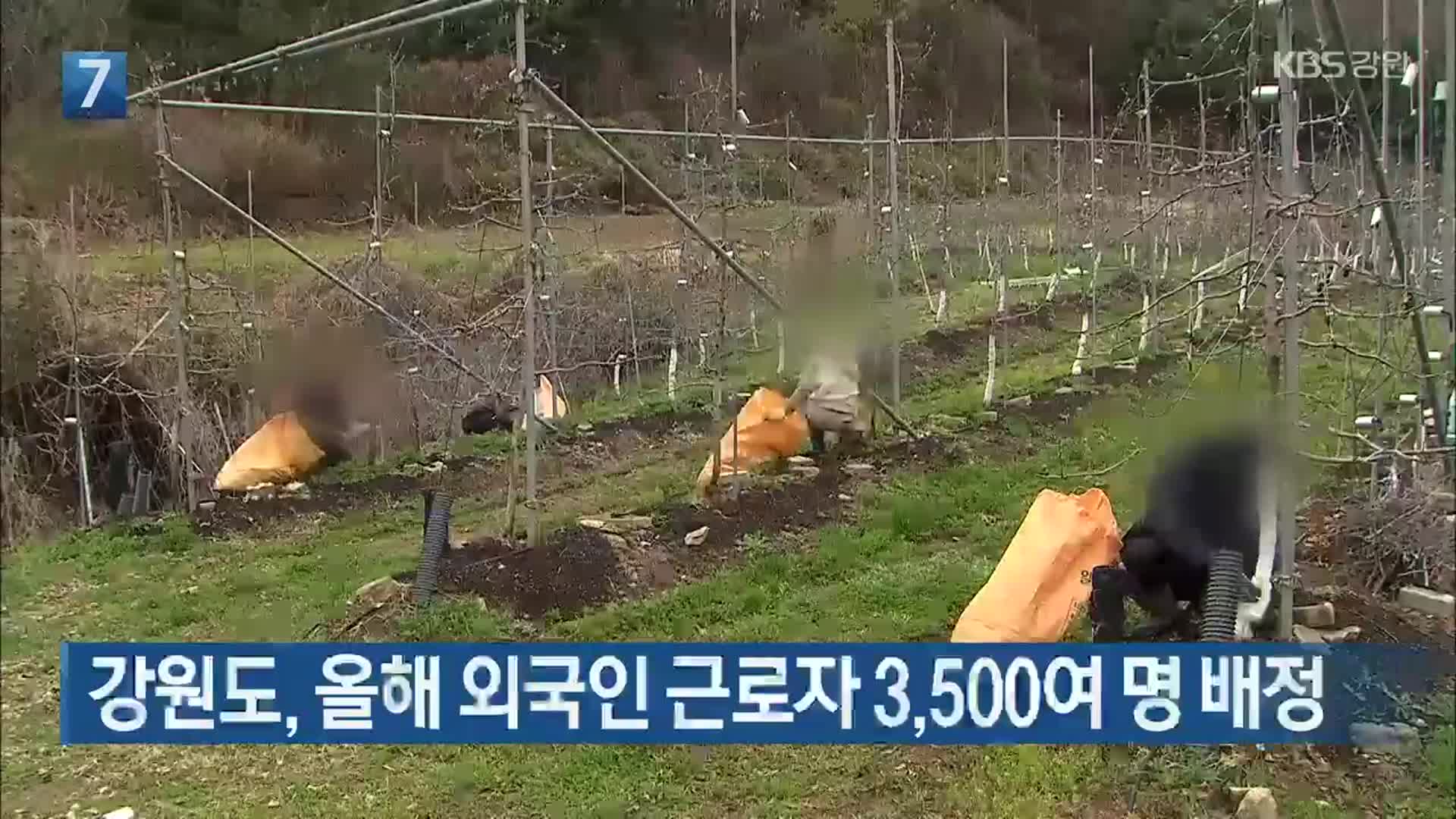 강원도, 올해 외국인 근로자 3,500여 명 배정