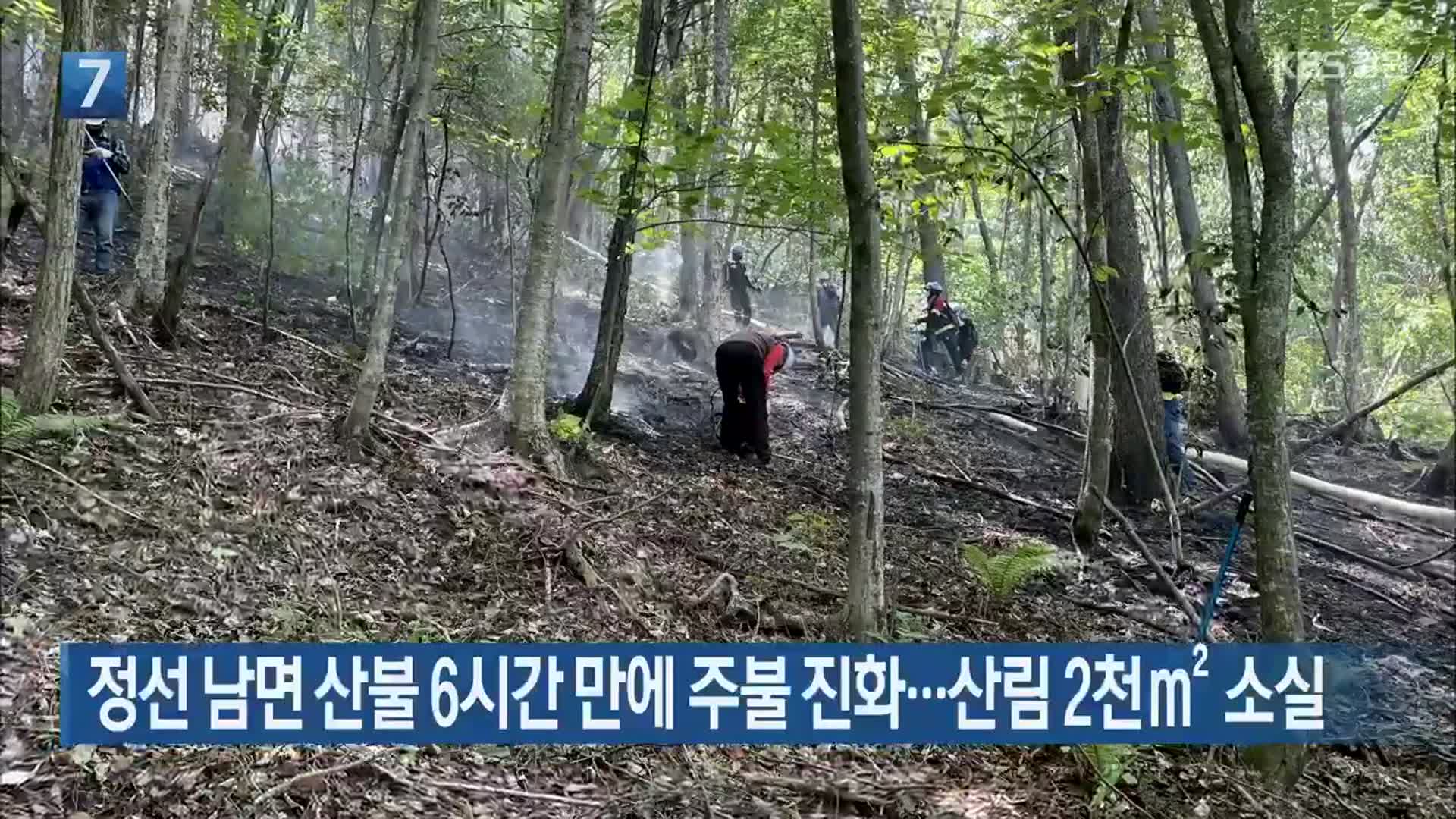 정선 남면 산불 6시간 만에 주불 진화…산림 2천㎥ 소실