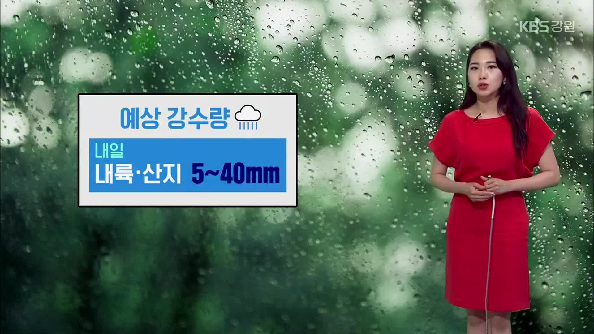 [날씨] 강원 오늘 밤까지 5~30mm 소나기…내일 내륙·산지 5~40mm 비