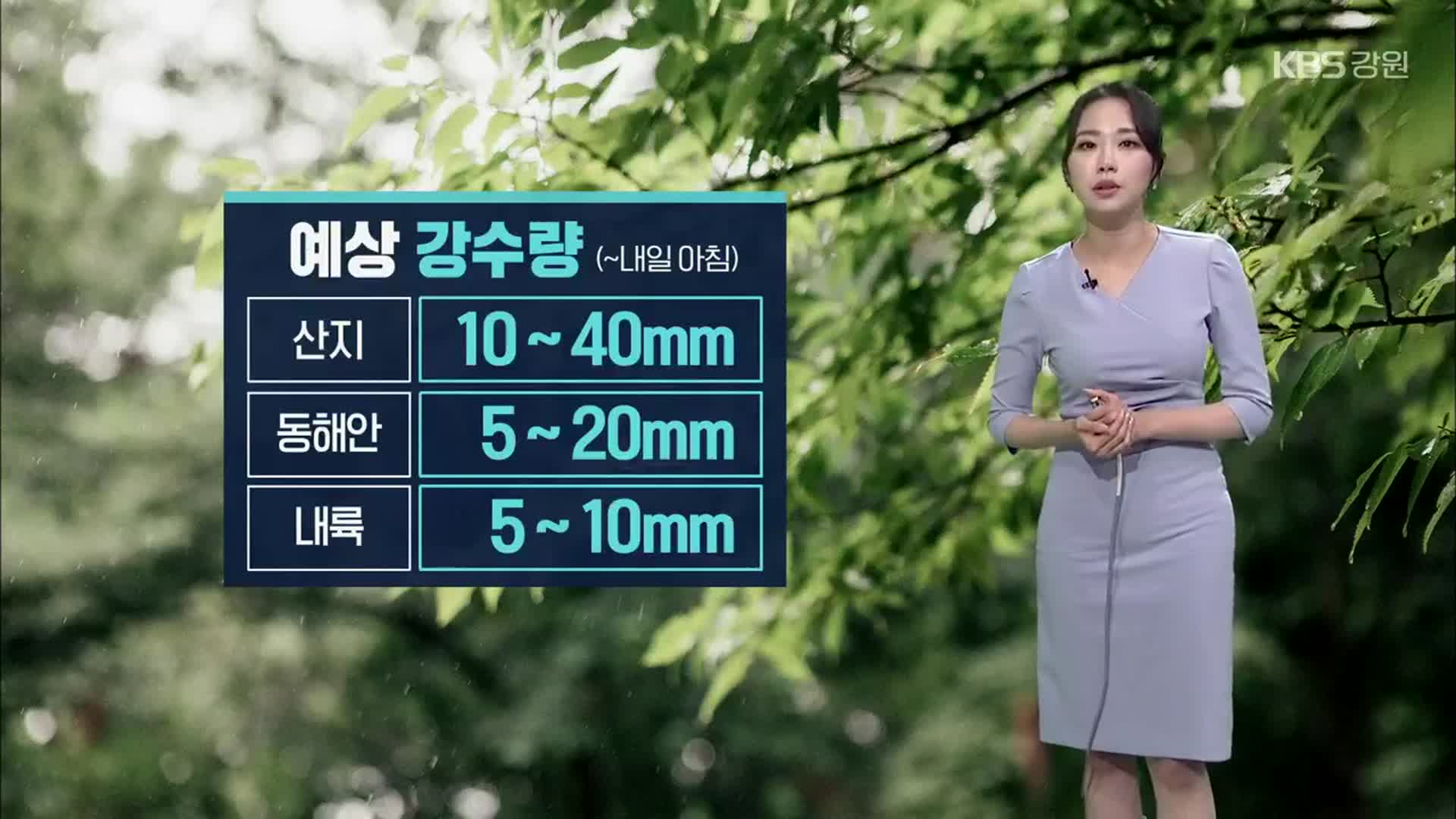 [날씨] 강원 내일 아침까지 5~40mm 비…오후부터 소나기