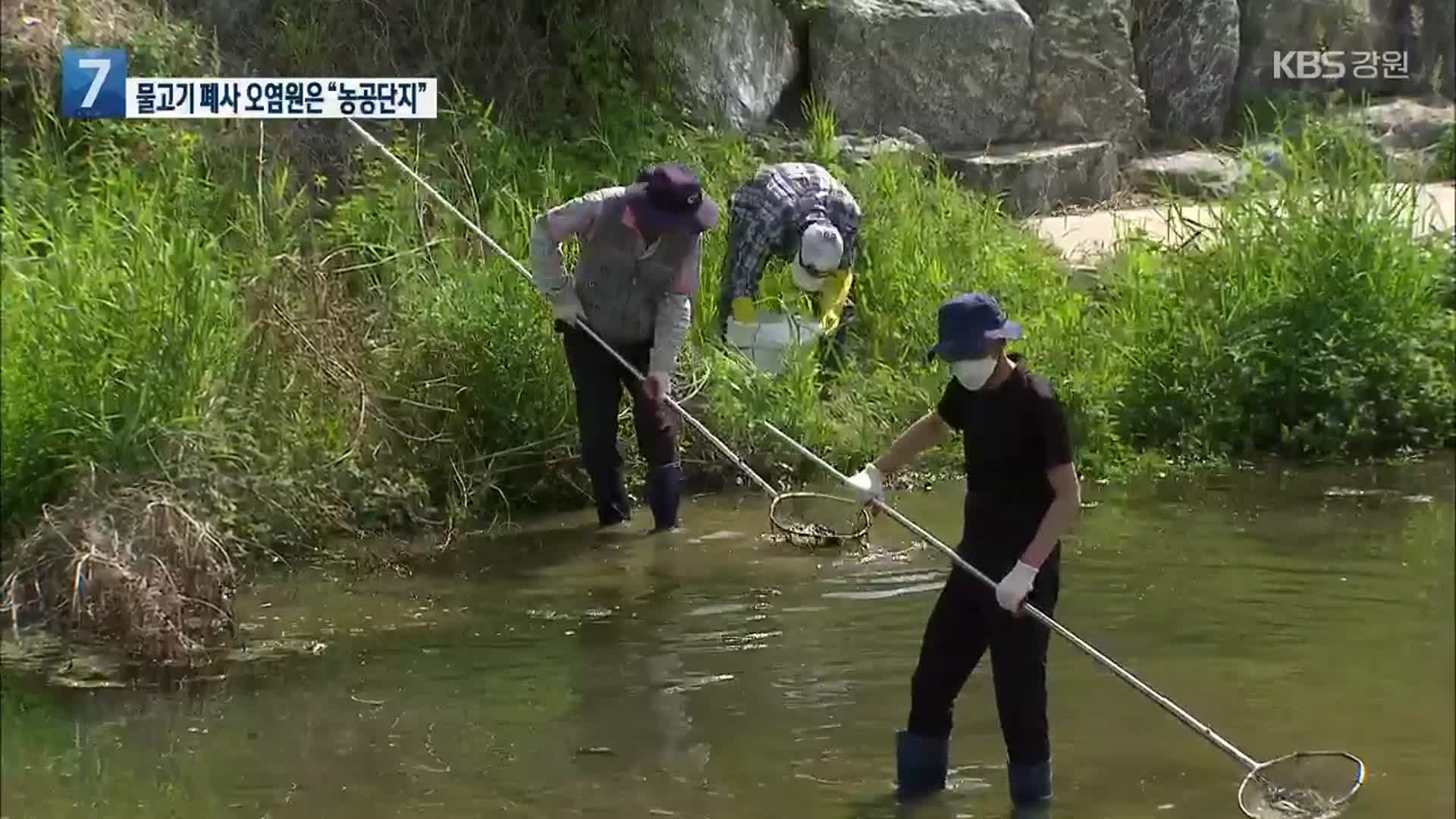 춘천 물고기 폐사 하천 오염원은 “농공단지”