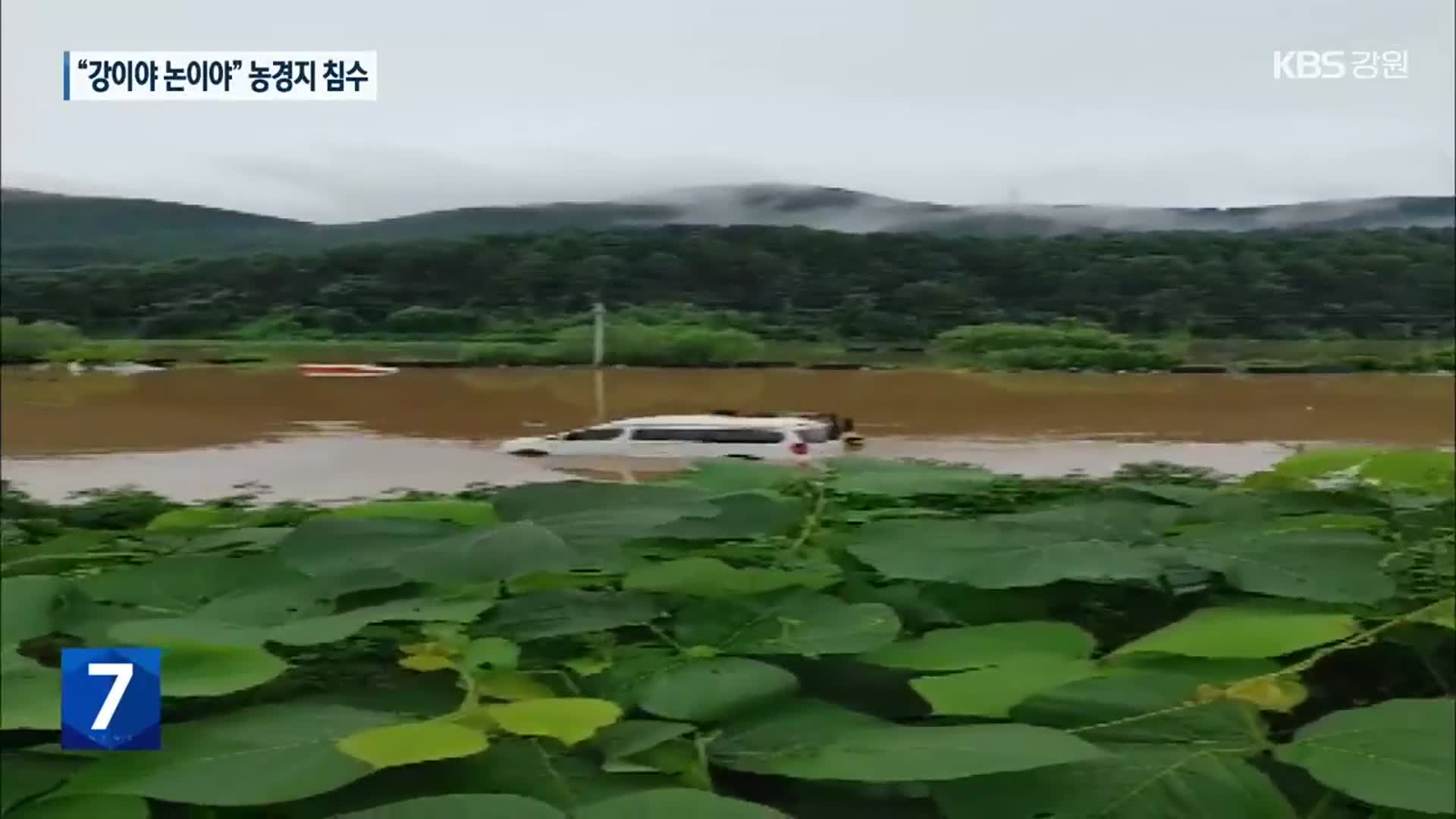 호수처럼 변한 춘천 가정리·한덕리…청평댐물 역류