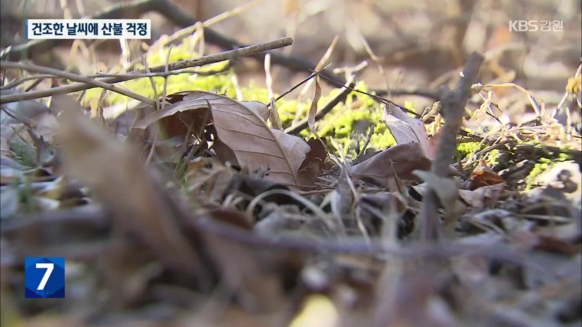 [여기는 강릉] 강릉 강수량 ‘0’…건조한 날씨에 산불 걱정