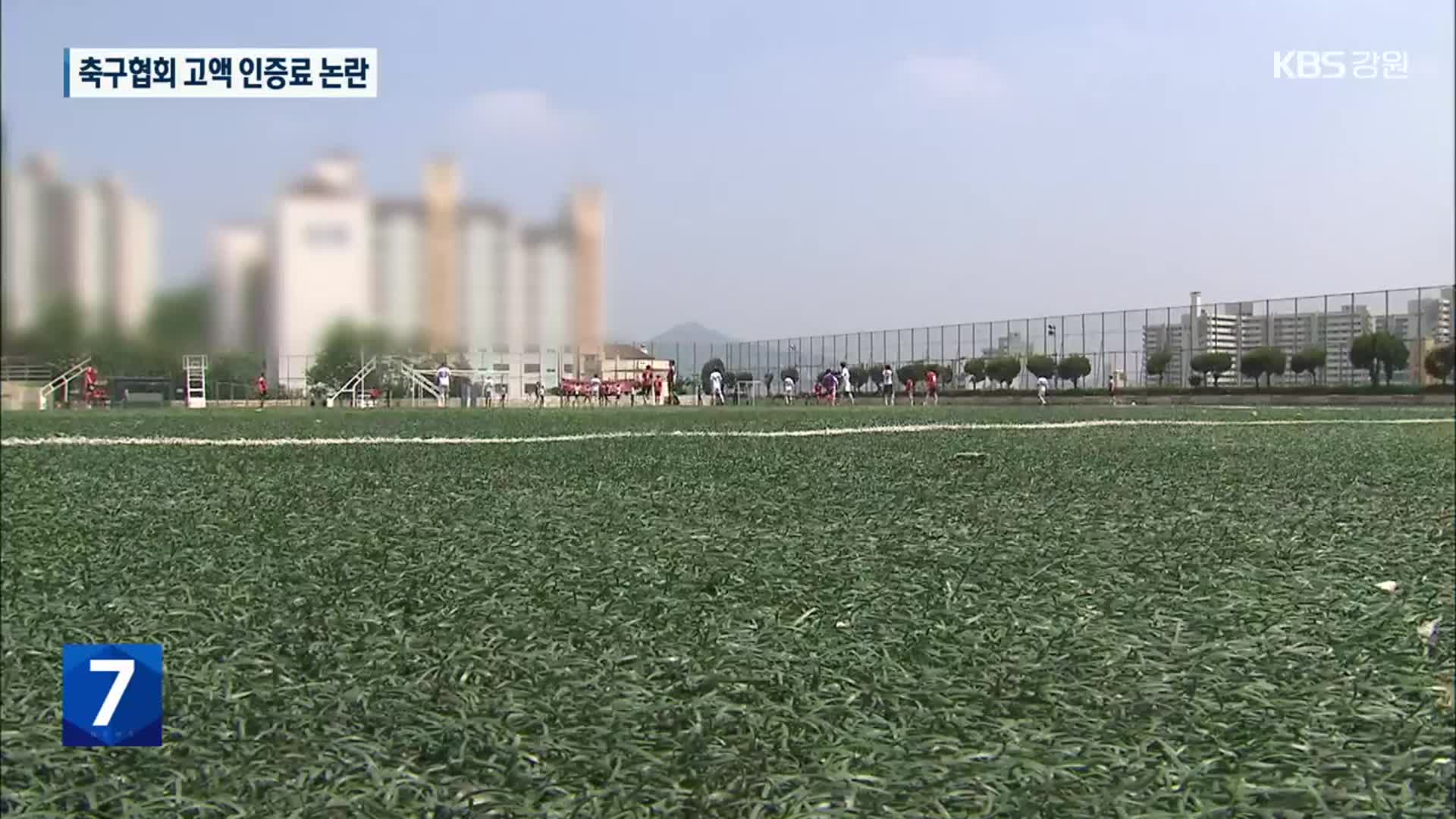 [여기는 원주] 대한축구협회 고액 인증료 논란…인조잔디 업계 ‘울상’