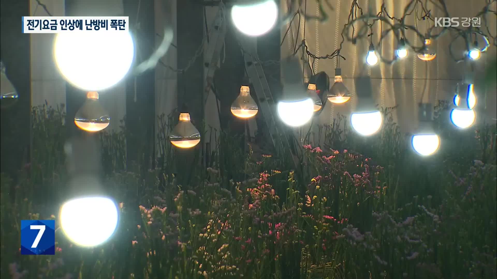 전기 요금 인상…시설 재배 농가 난방비 폭탄