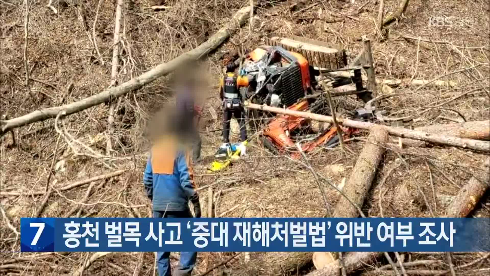 홍천 벌목 사고 ‘중대 재해처벌법’ 위반 여부 조사