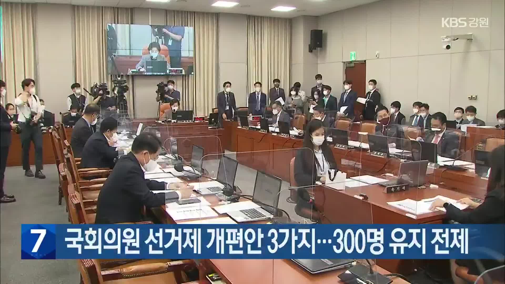 국회의원 선거제 개편안 3가지…300명 유지 전제