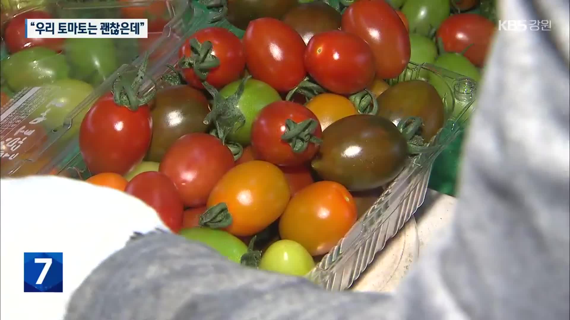 “우리 토마토는 괜찮은데”…‘토마틴 검출’ 농가에 불똥