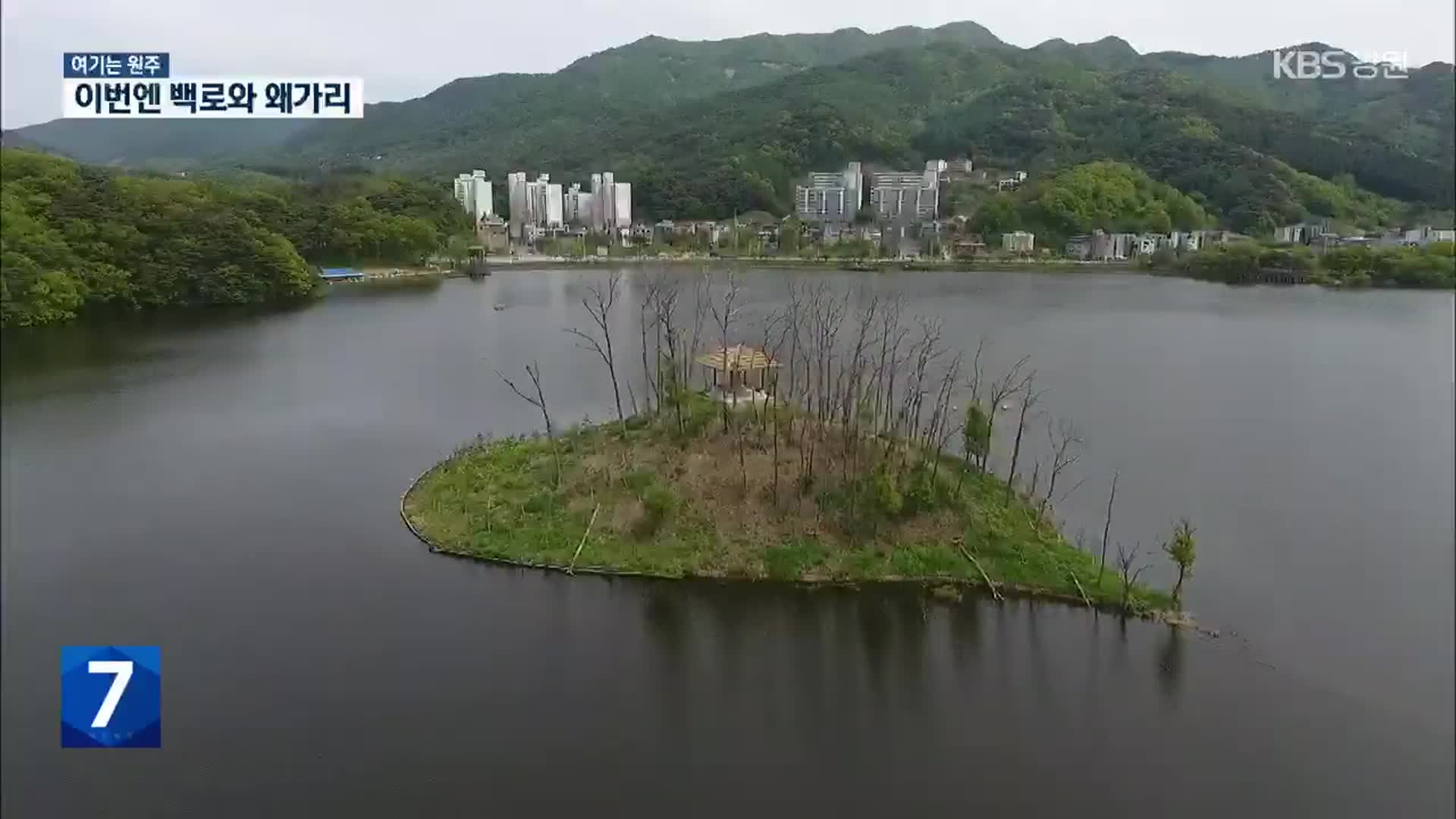 [여기는 원주] ‘가마우지’ 쫓아냈더니…이번에는 ‘왜가리·백로’