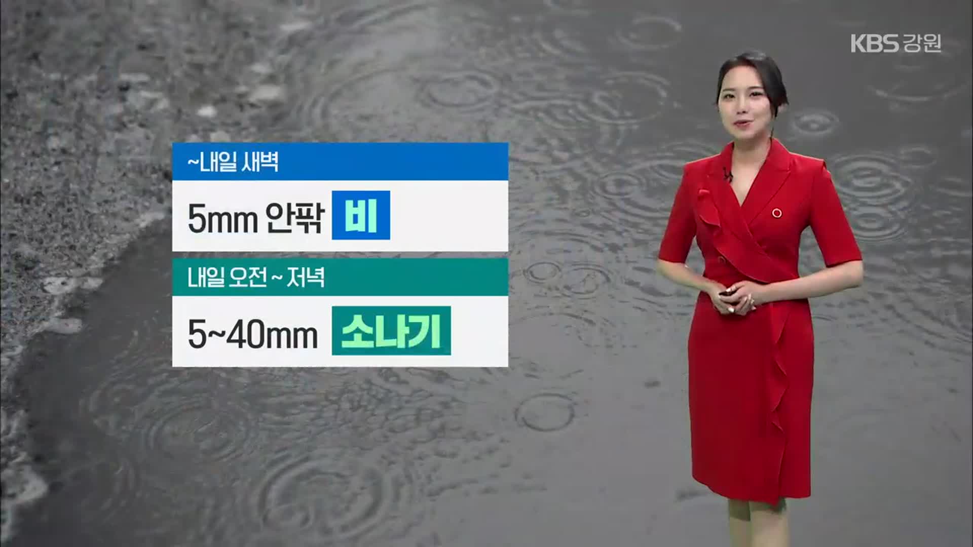 [날씨] 강원 내일 비 소식…저녁까지 최대 40mm