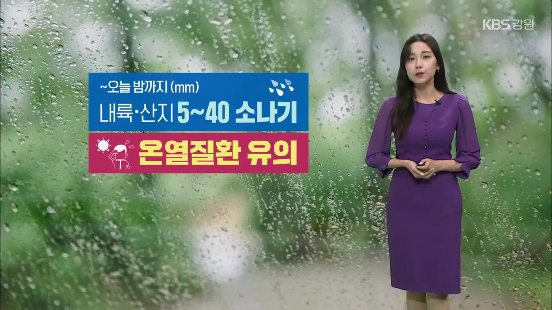 [날씨] 오늘 밤까지 강원 내륙·산지 소나기…내일도 더워