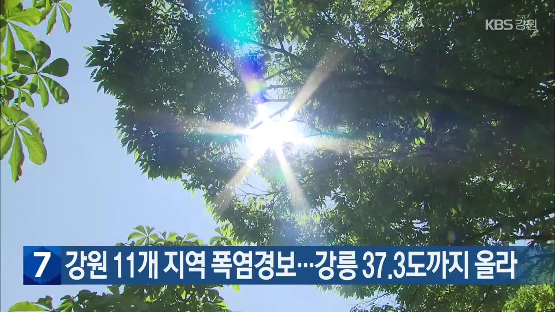 강원 11개 지역 폭염경보…강릉 37.3도까지 올라