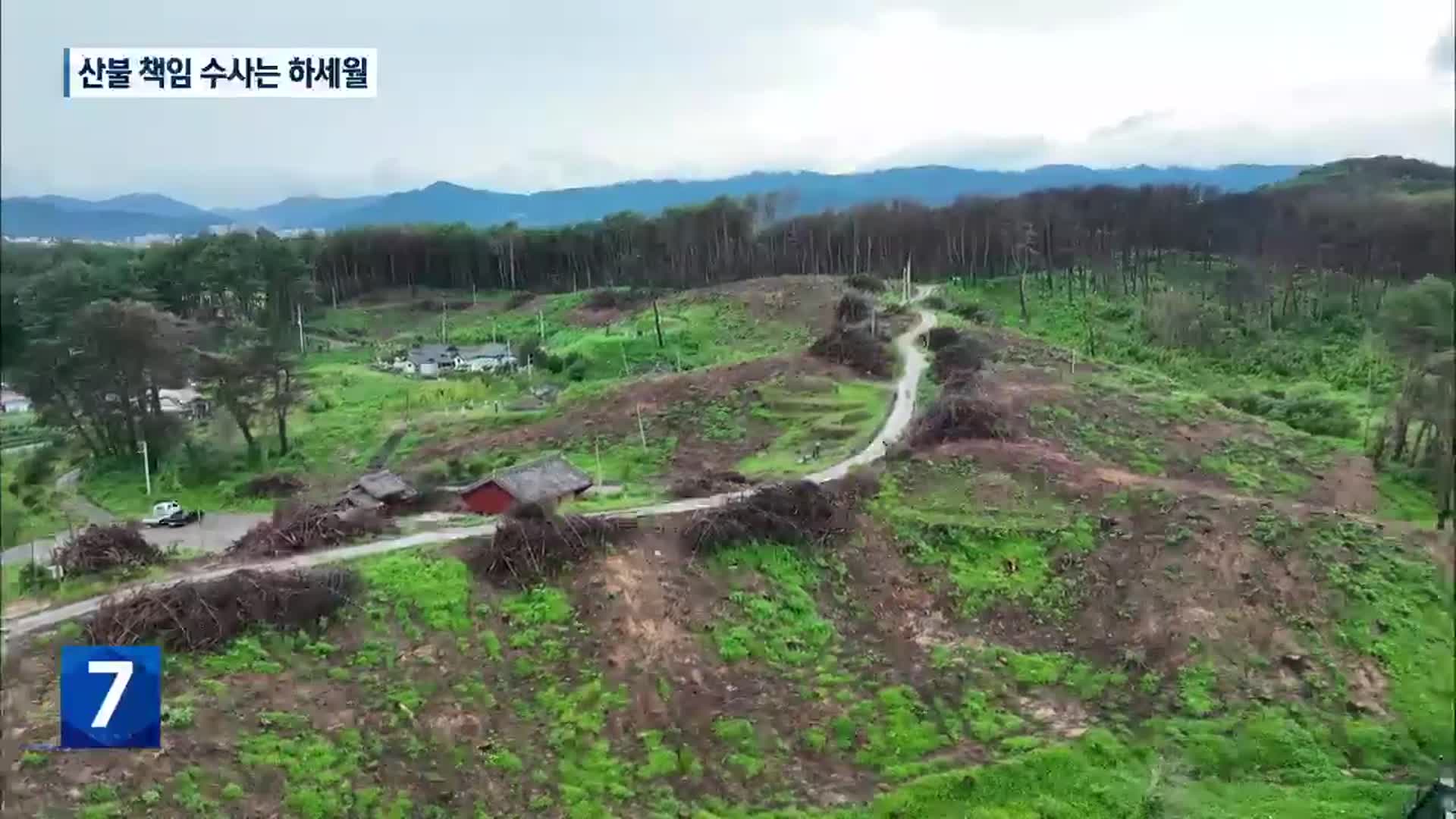 산불 피해 산림 복구 추진…산불 책임 수사 하세월