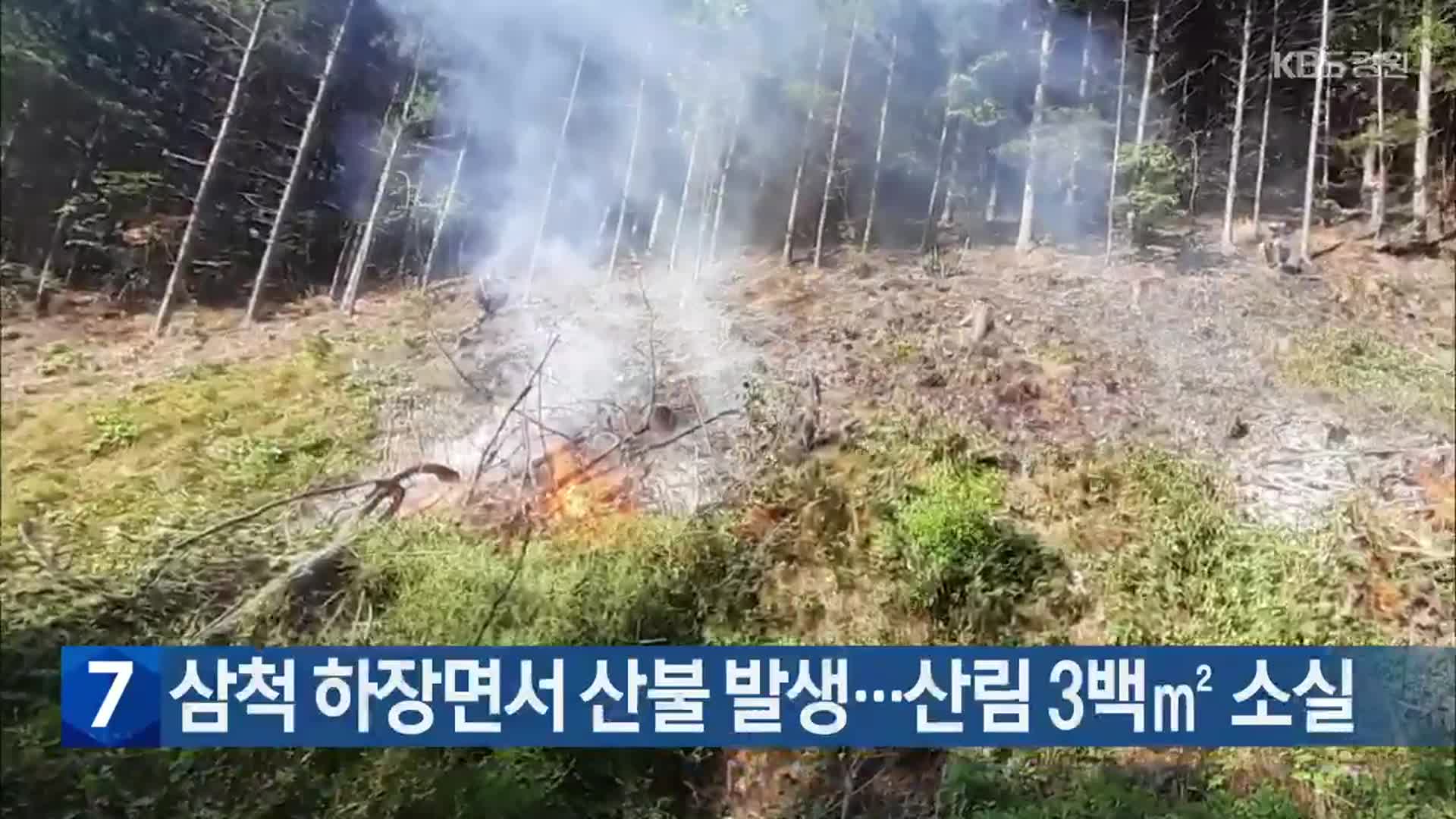 삼척 하장면서 산불 발생…산림 3백㎡ 소실