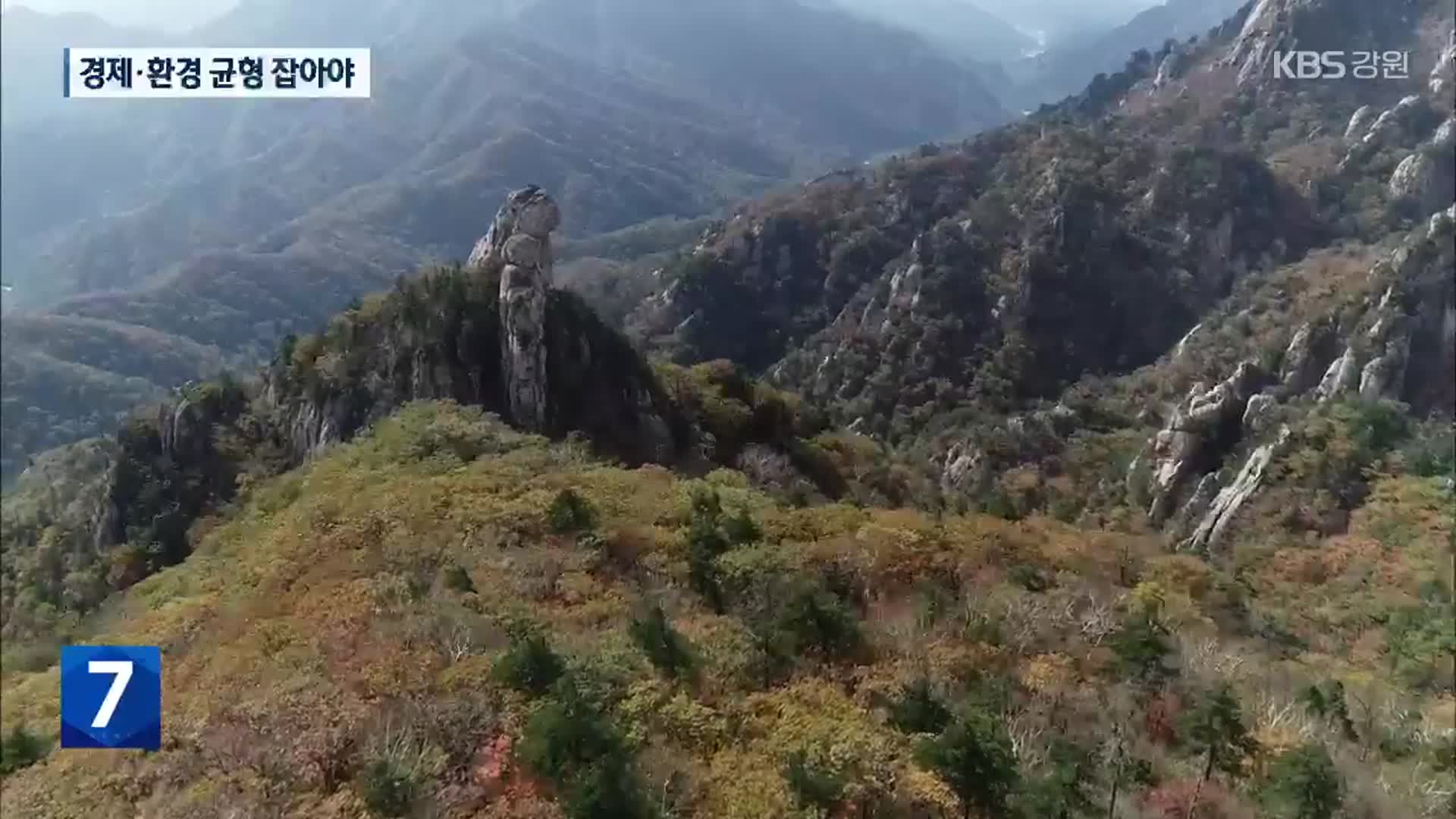 재조명 되는 산림 가치…경제·환경 균형 잡아야