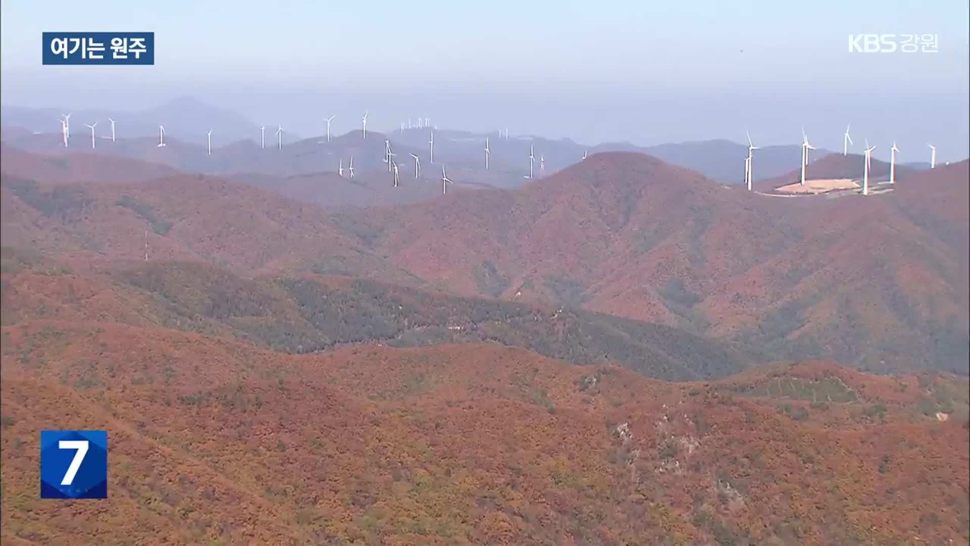 [여기는 강릉] 숨은 가을 명소 태백 함백산…단풍에다 은하수