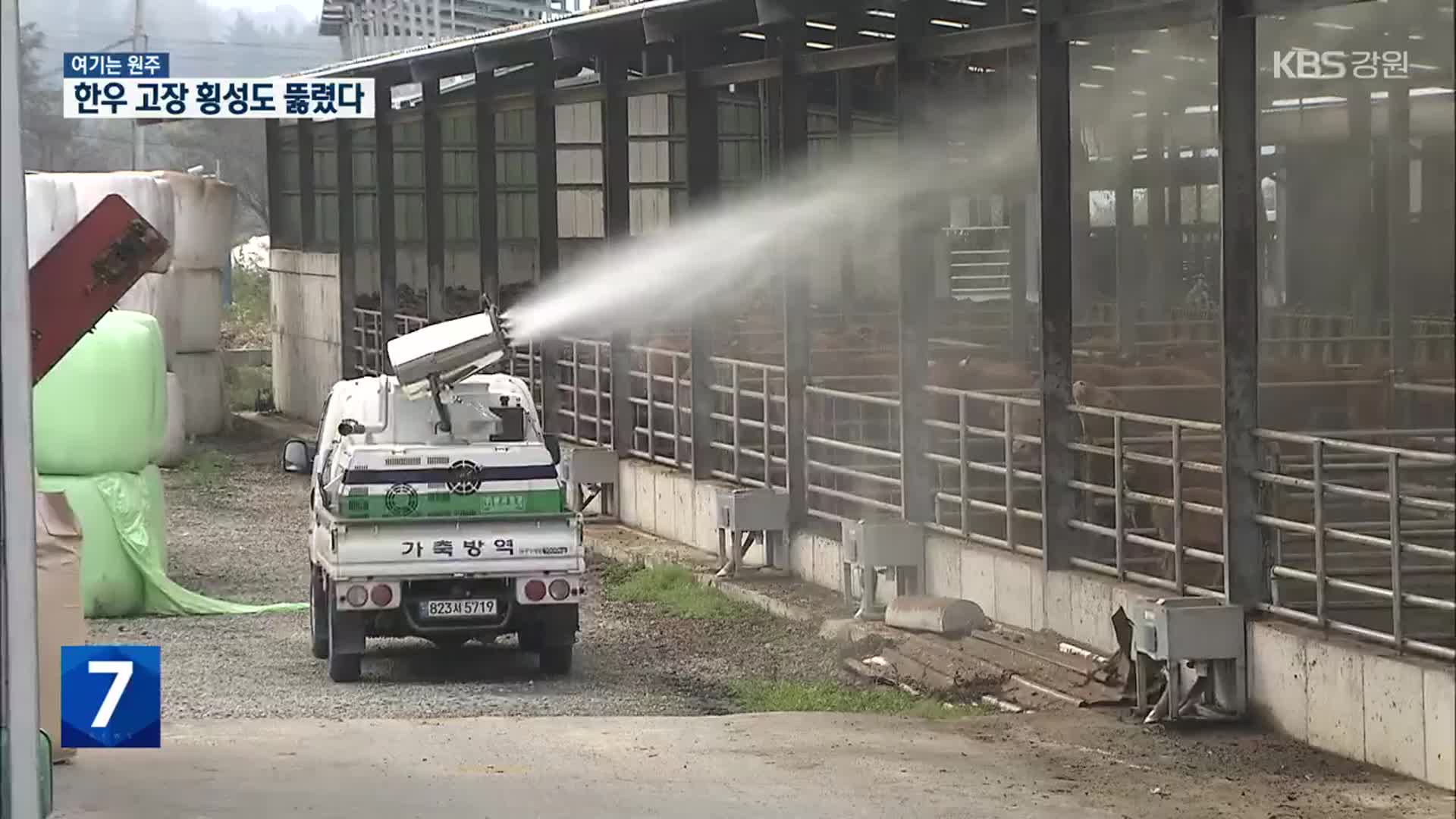 [여기는 원주] 한우 고장 횡성서도 럼피스킨병 확진…강원도 내 두 번째