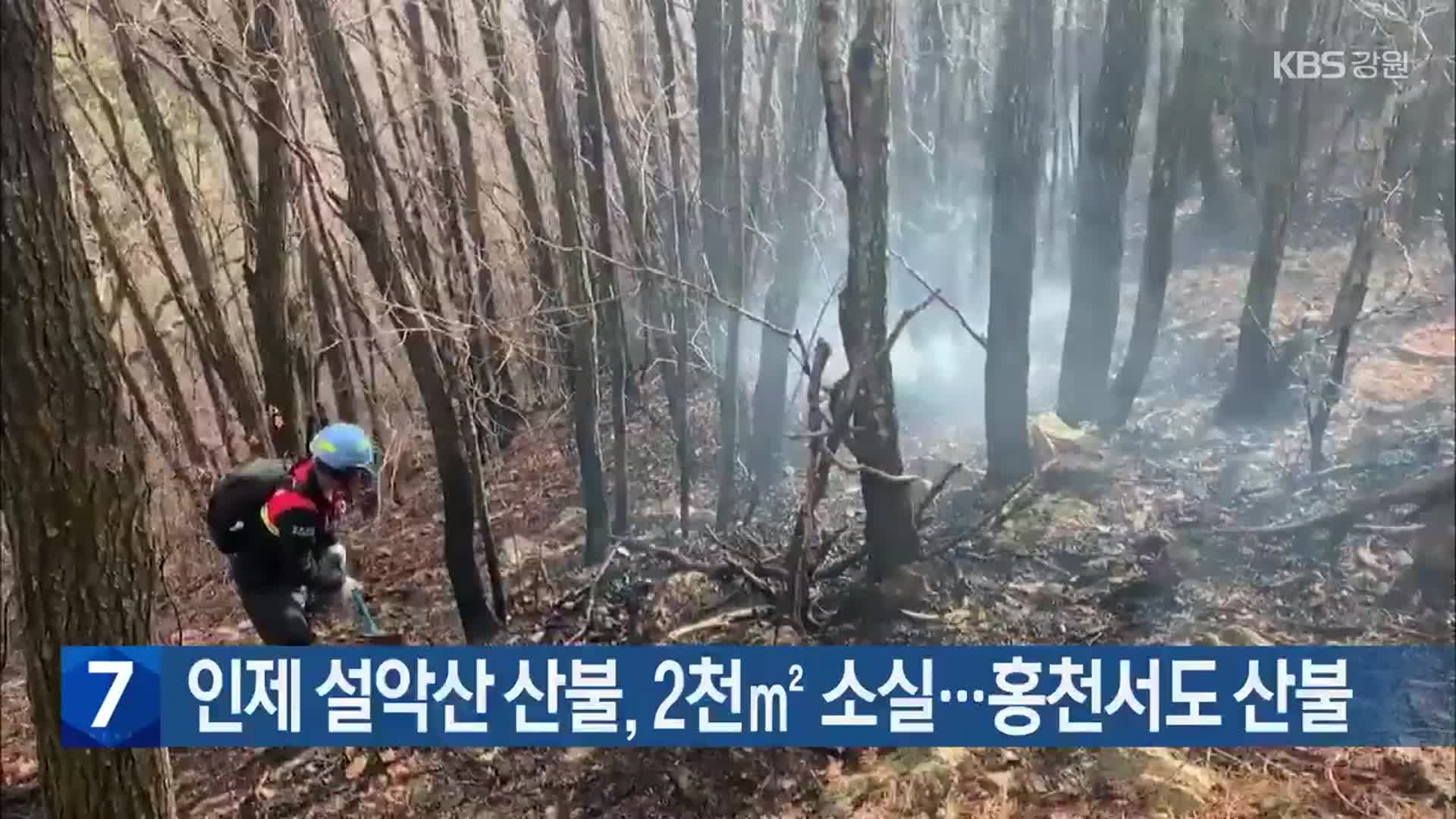 [간추린 소식] 인제 설악산 산불, 2천㎡ 소실…홍천서도 산불 외