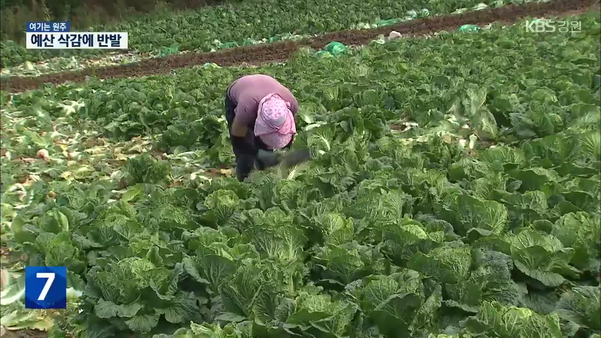 [여기는 원주] 여성 농업인 복지·농업 연구 예산 줄삭감에 우려