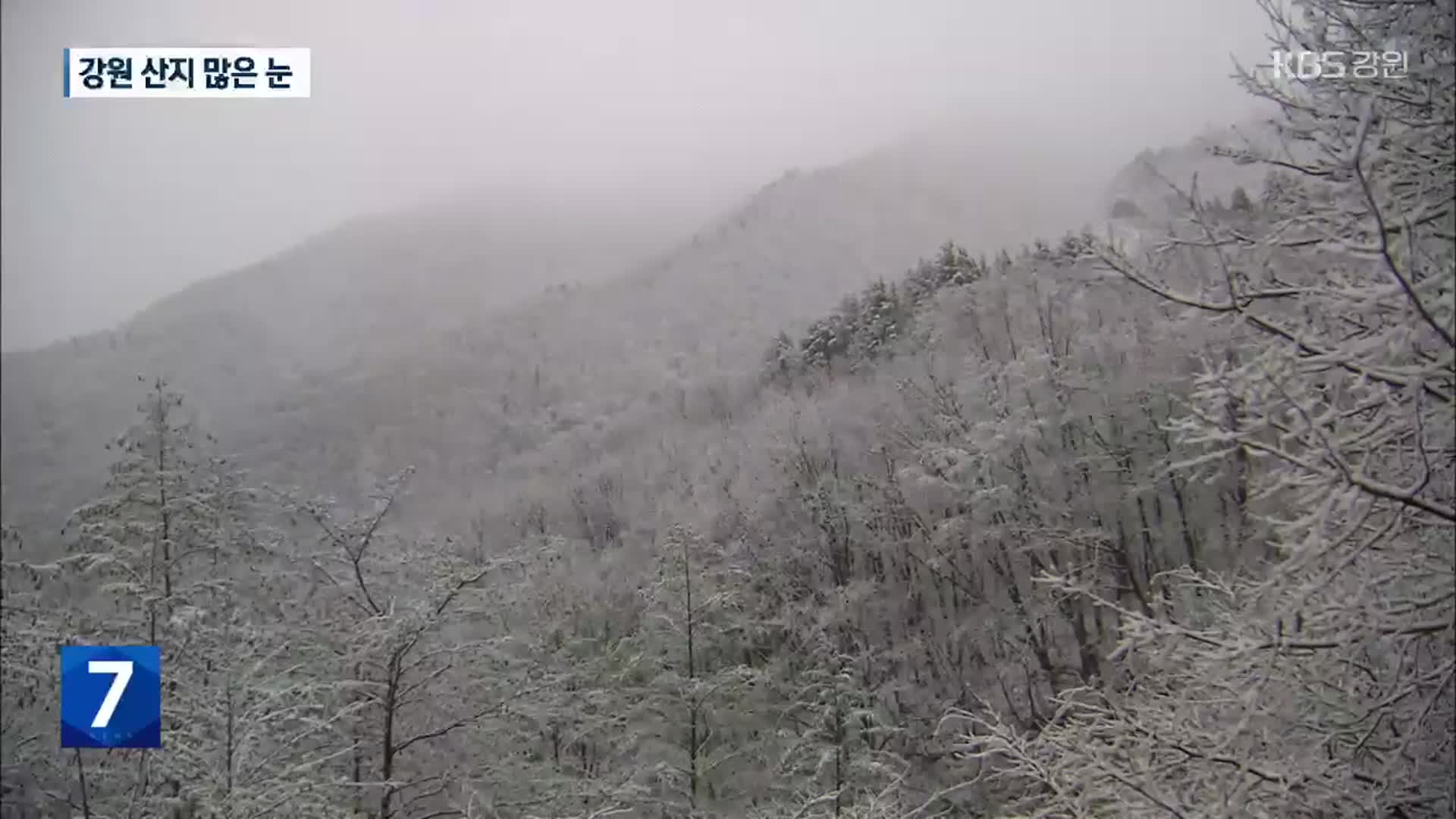 강원북부 산지에 많은 눈…해안은 온종일 비