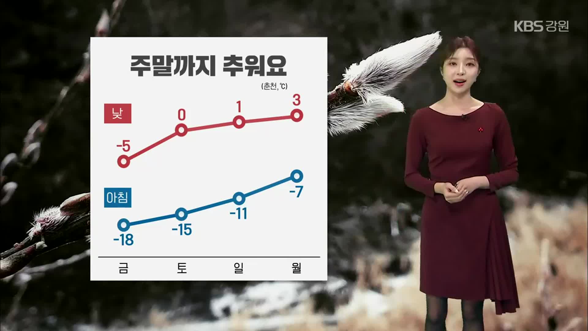 [날씨] ‘춘천 내일 -18도’ 강원 강추위…찬 바람에 손발 ‘꽁꽁’