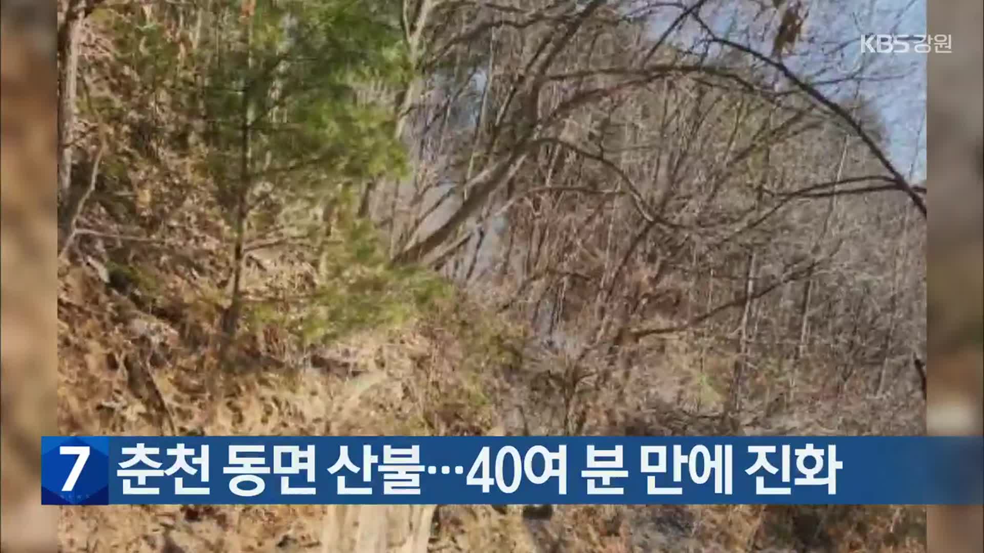 춘천 동면 산불…40여 분 만에 진화