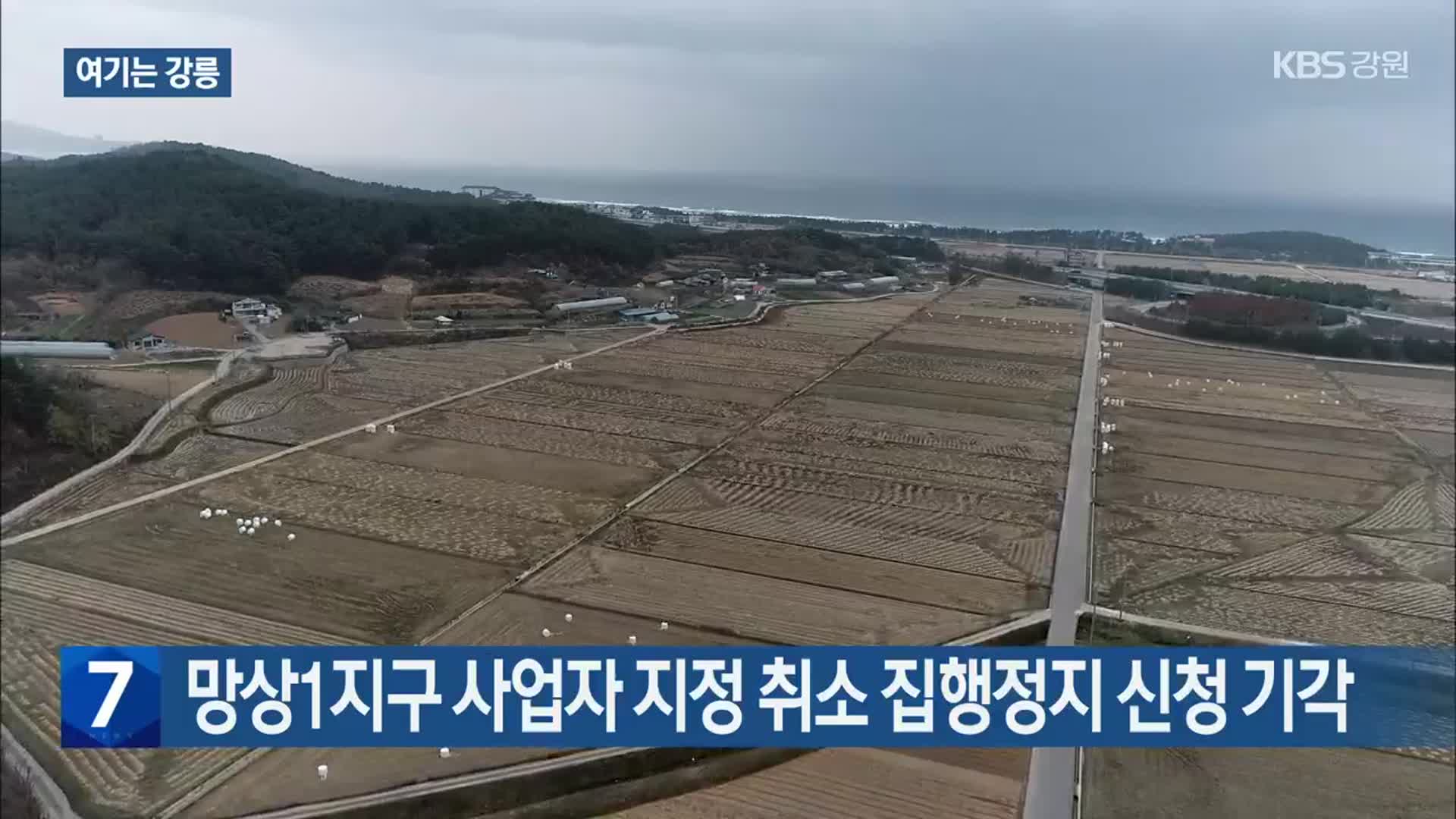 [여기는 강릉] 망상1지구 사업자 지정 취소 집행정지 신청 기각 외