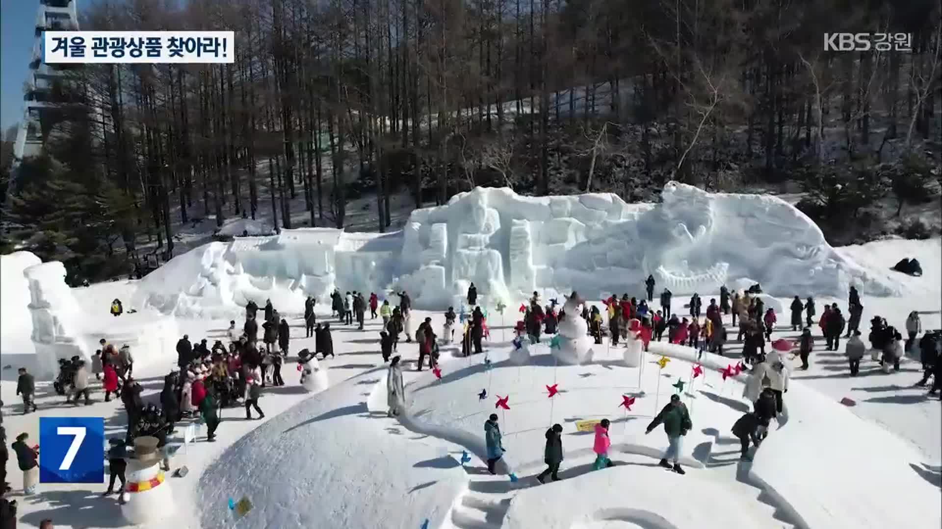 ‘태백산 눈축제’ 이어갈 겨울 관광상품을 찾아라!