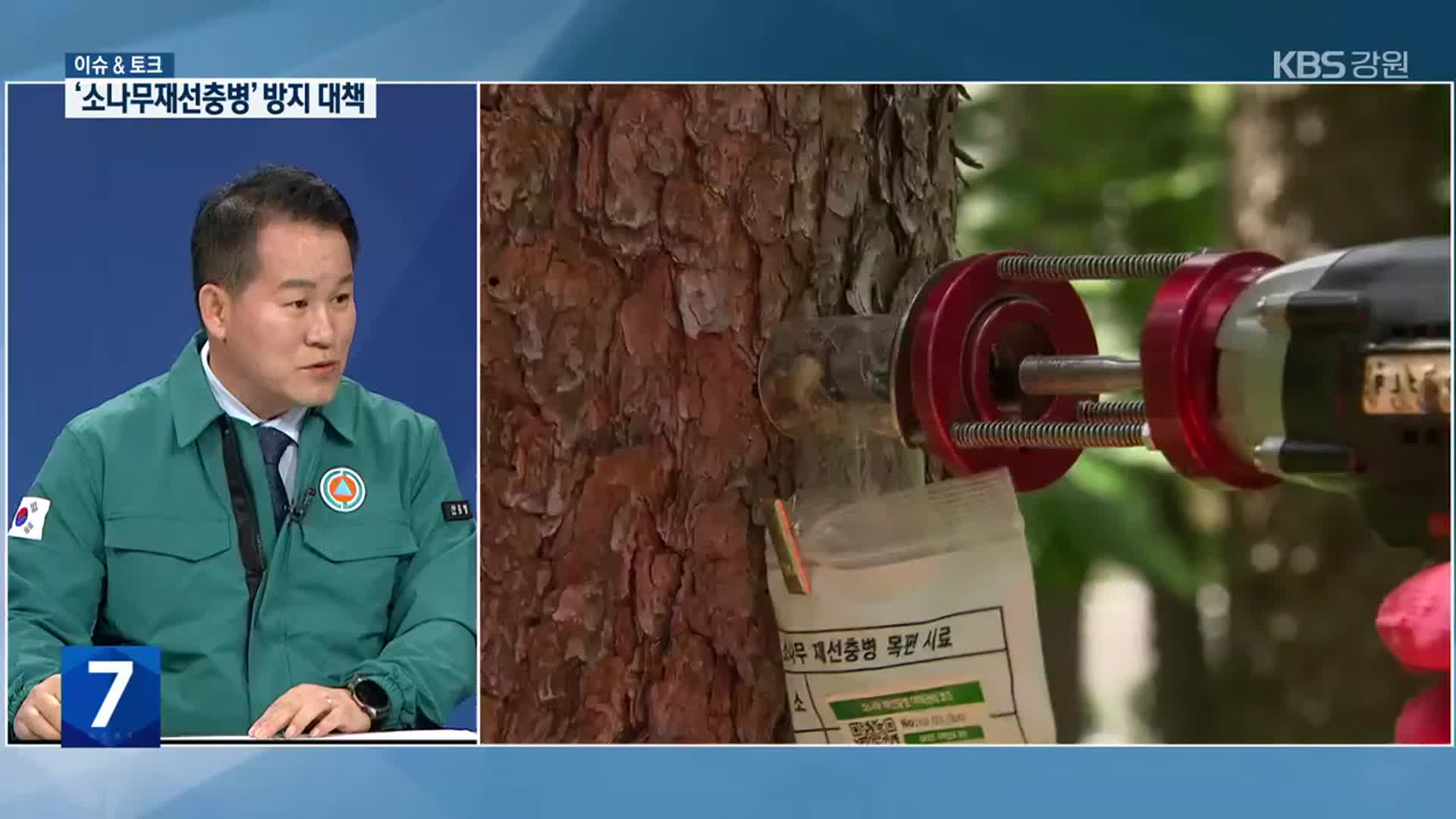 [이슈&토크] ‘소나무재선충병’ 피해 실태와 방제 대책은?