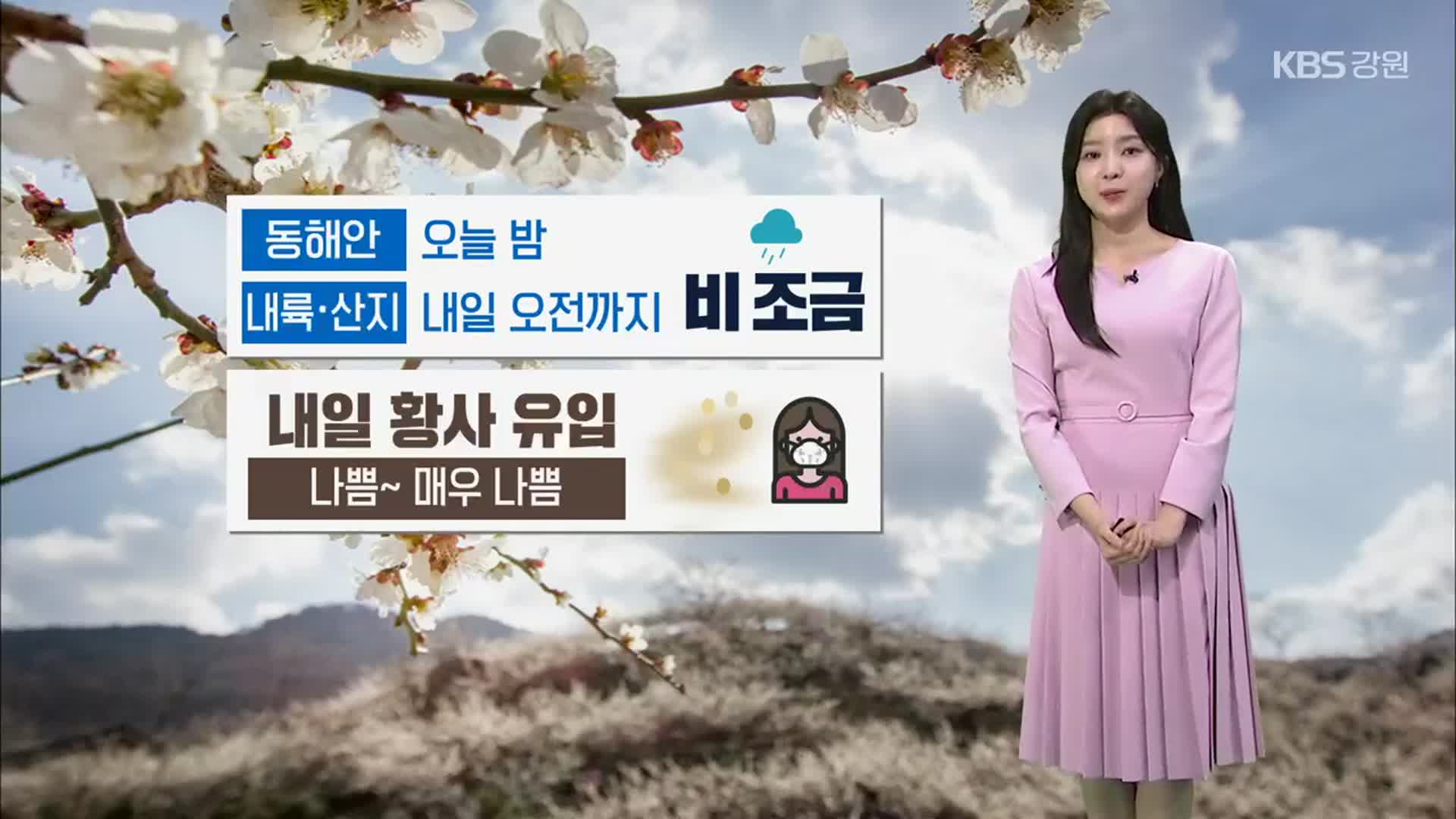 [날씨] 강원 곳곳 내일 오전까지 비 조금…미세먼지 ‘나쁨~매우 나쁨’