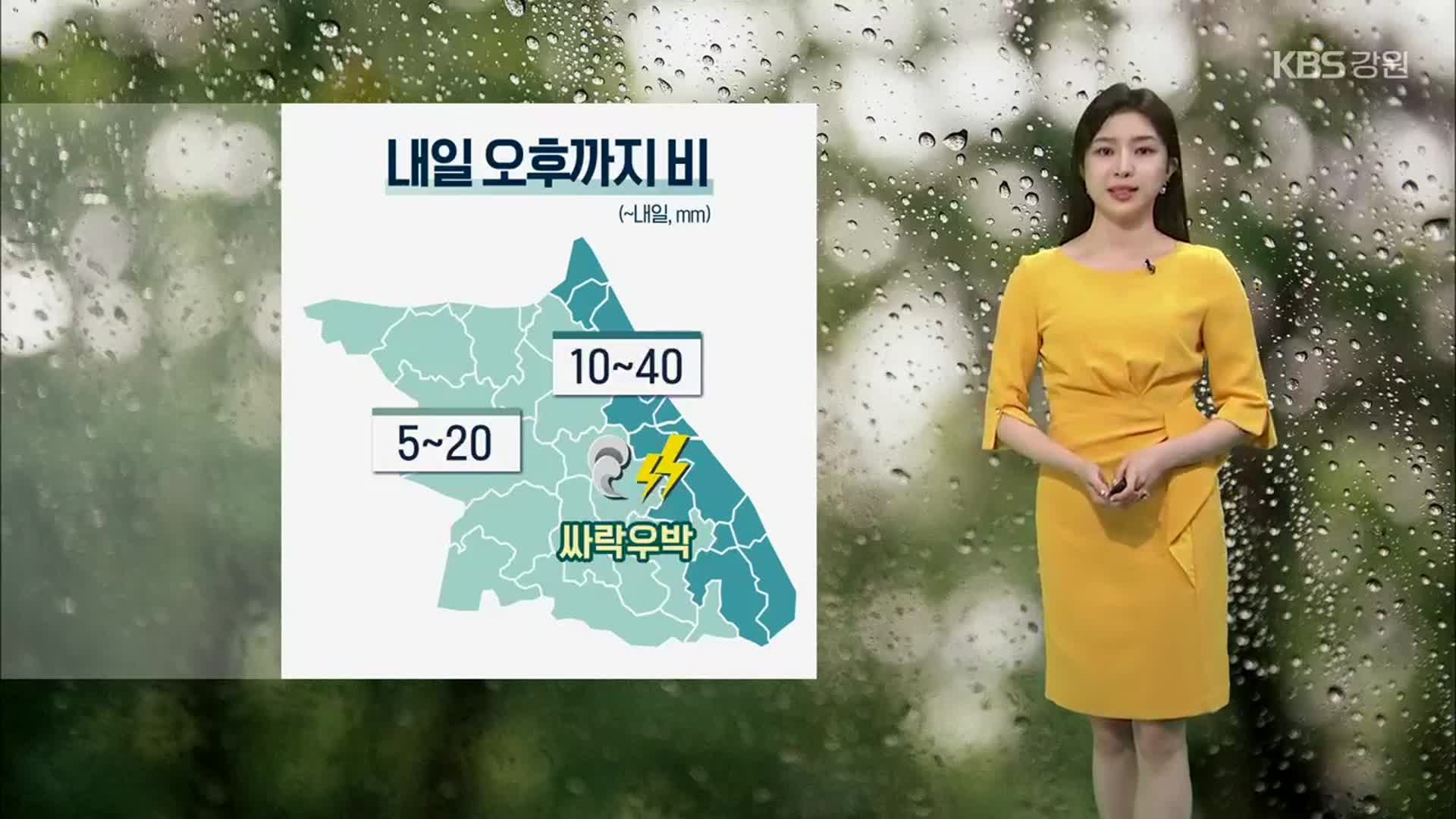 [날씨] 강원 내일 오후까지 최대 40mm 비…짙은 안개 주의