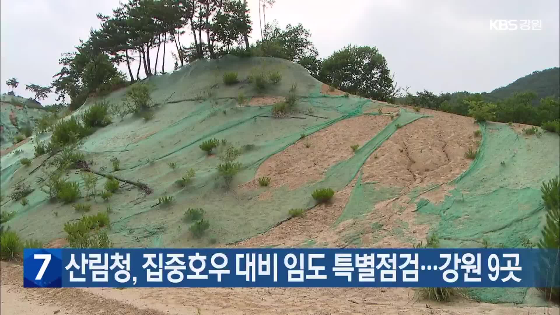 산림청, 집중호우 대비 임도 특별점검…강원 9곳