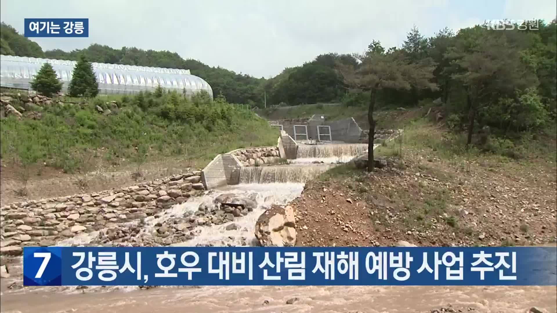 [여기는 강릉] 강릉시, 호우 대비 산림 재해 예방 사업 추진 외