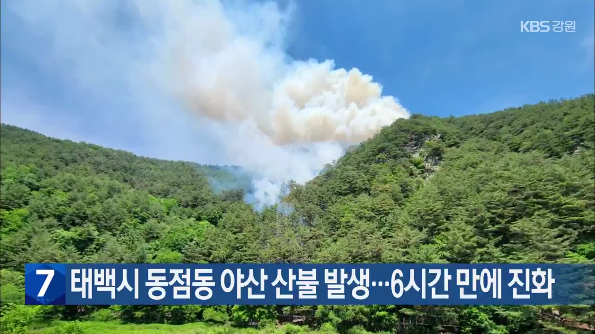 태백시 동점동 야산 산불 발생…6시간 만에 진화