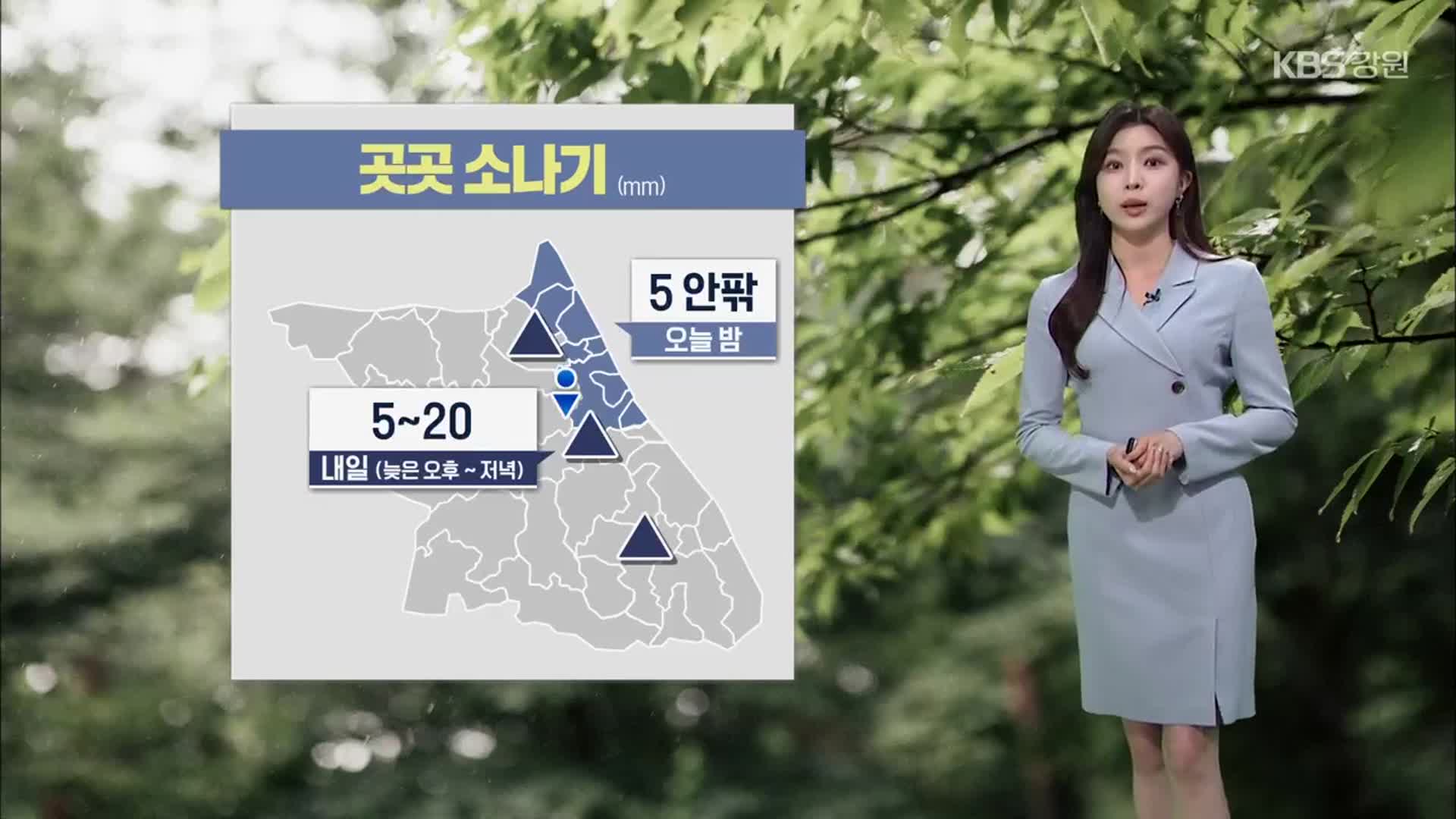 [날씨] 강원 오늘 밤 곳곳 소나기…내일 천둥·번개 주의