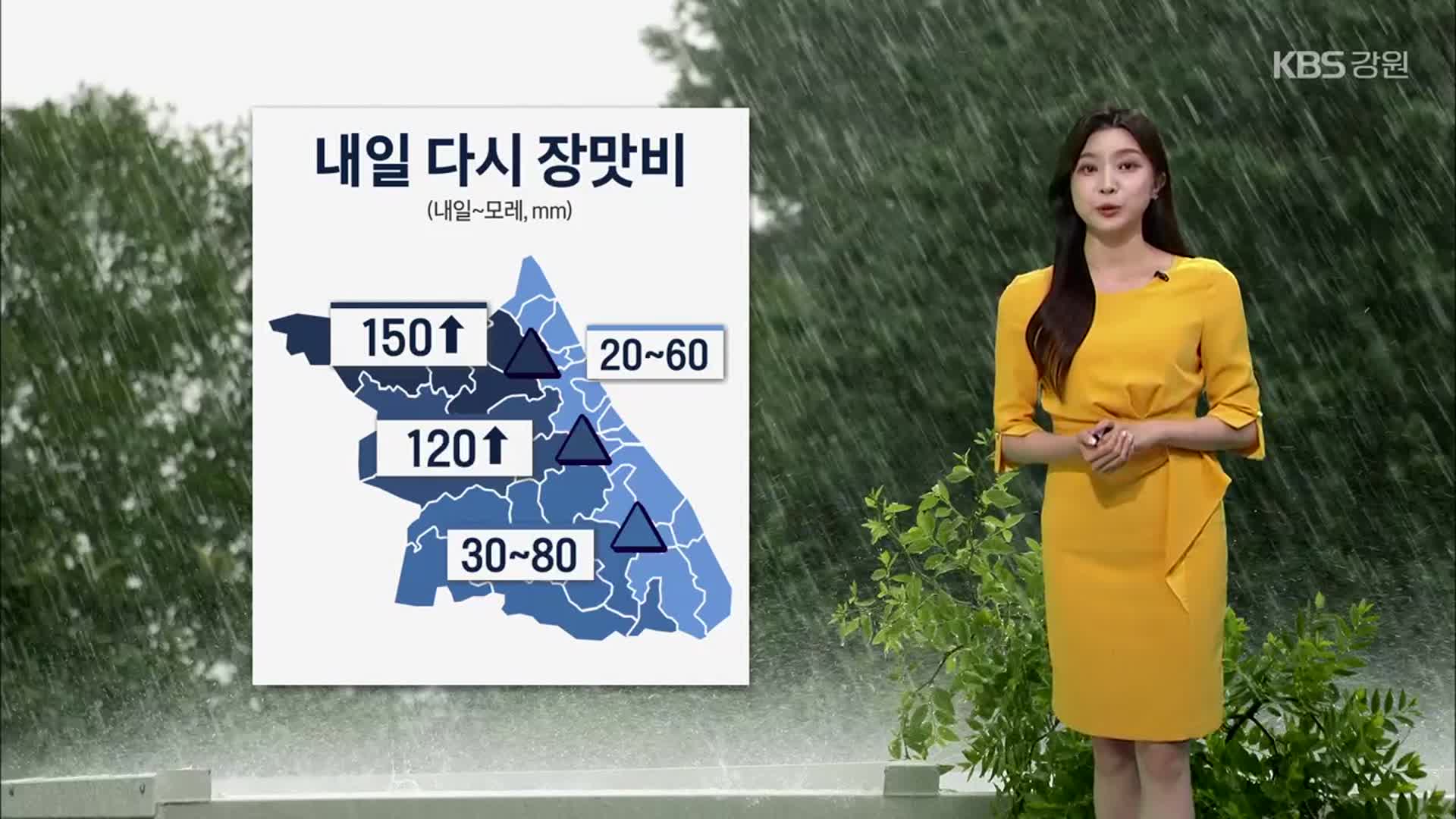 [날씨] 강원 내일 다시 장맛비…최대 150mm↑