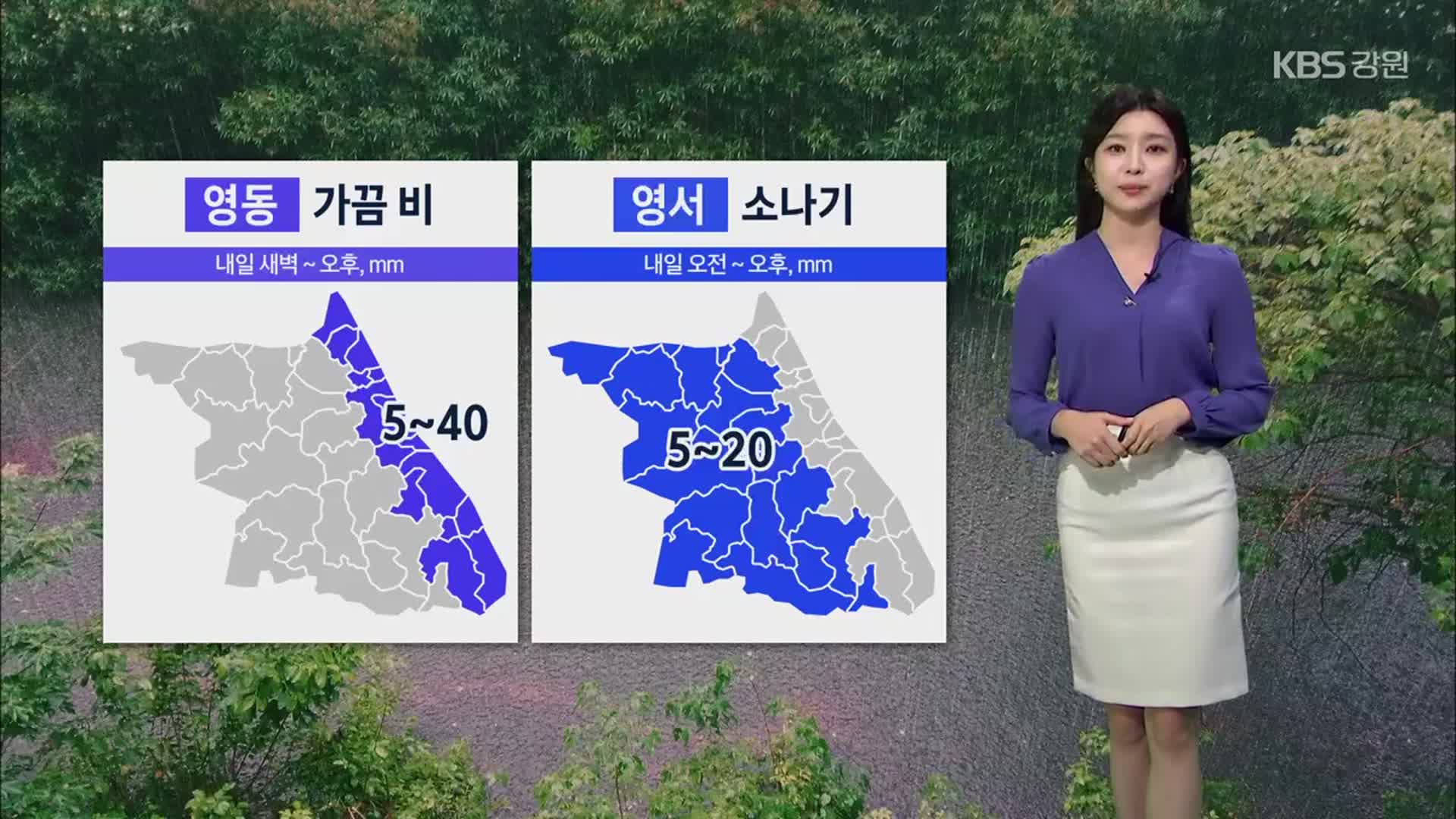 [날씨] 강원 내일 소나기·비…아침까지 내륙·산지 ‘짙은 안개’