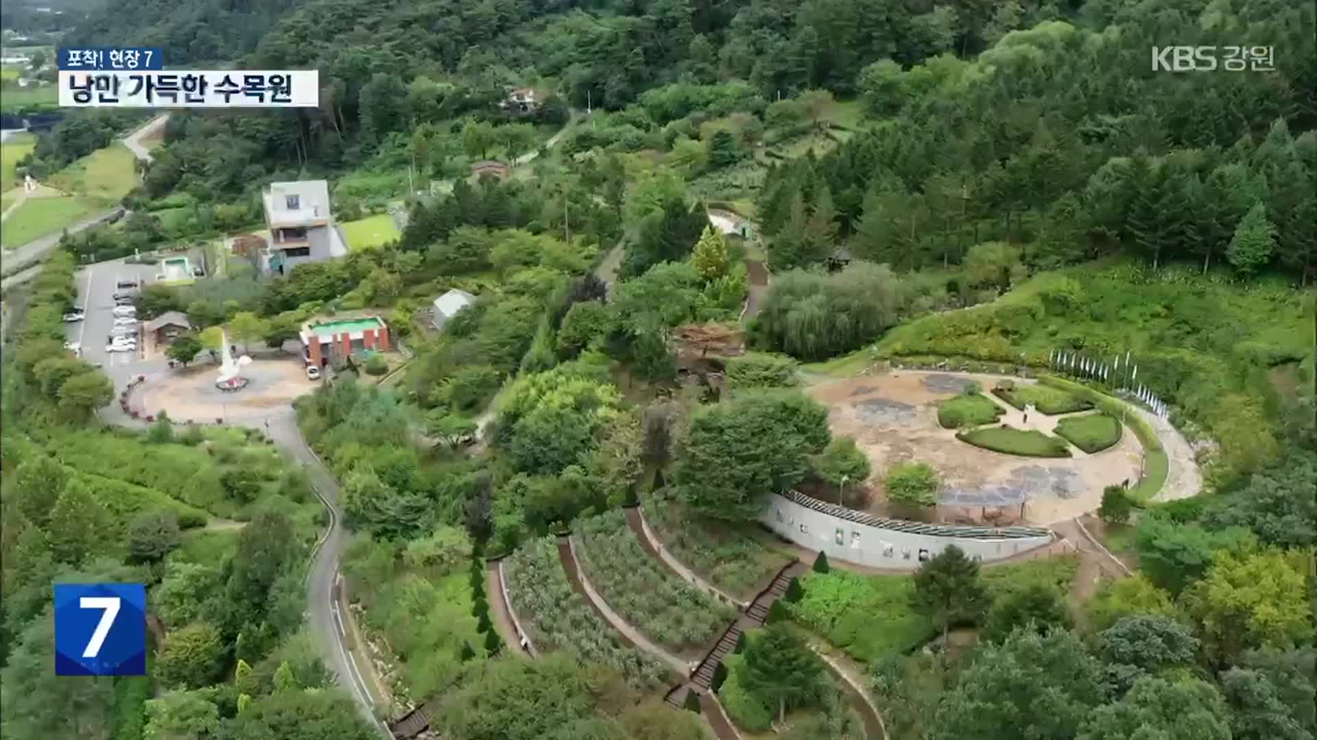 [포착! 현장7] 가을 낭만 가득한 ‘홍천 무궁화수목원’