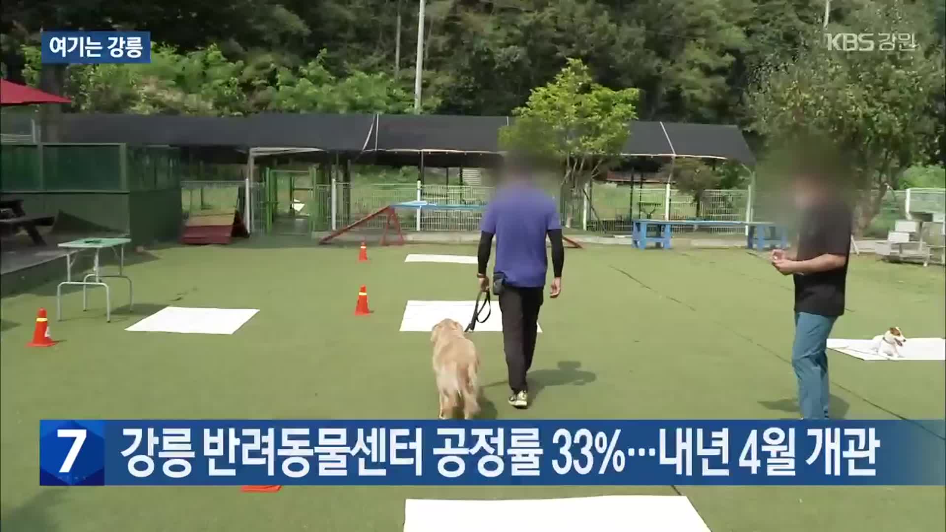 [여기는 강릉] 강릉 반려동물센터 공정률 33%…내년 4월 개관 외