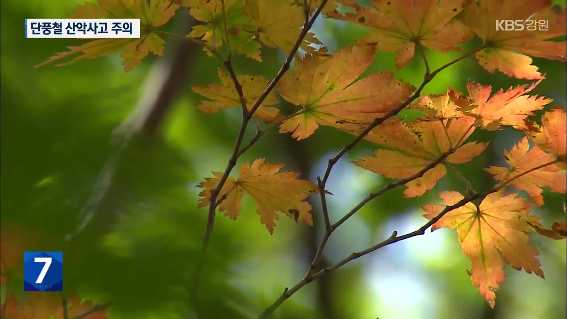 ‘가을 단풍’ 물드는 설악산…산악사고 주의