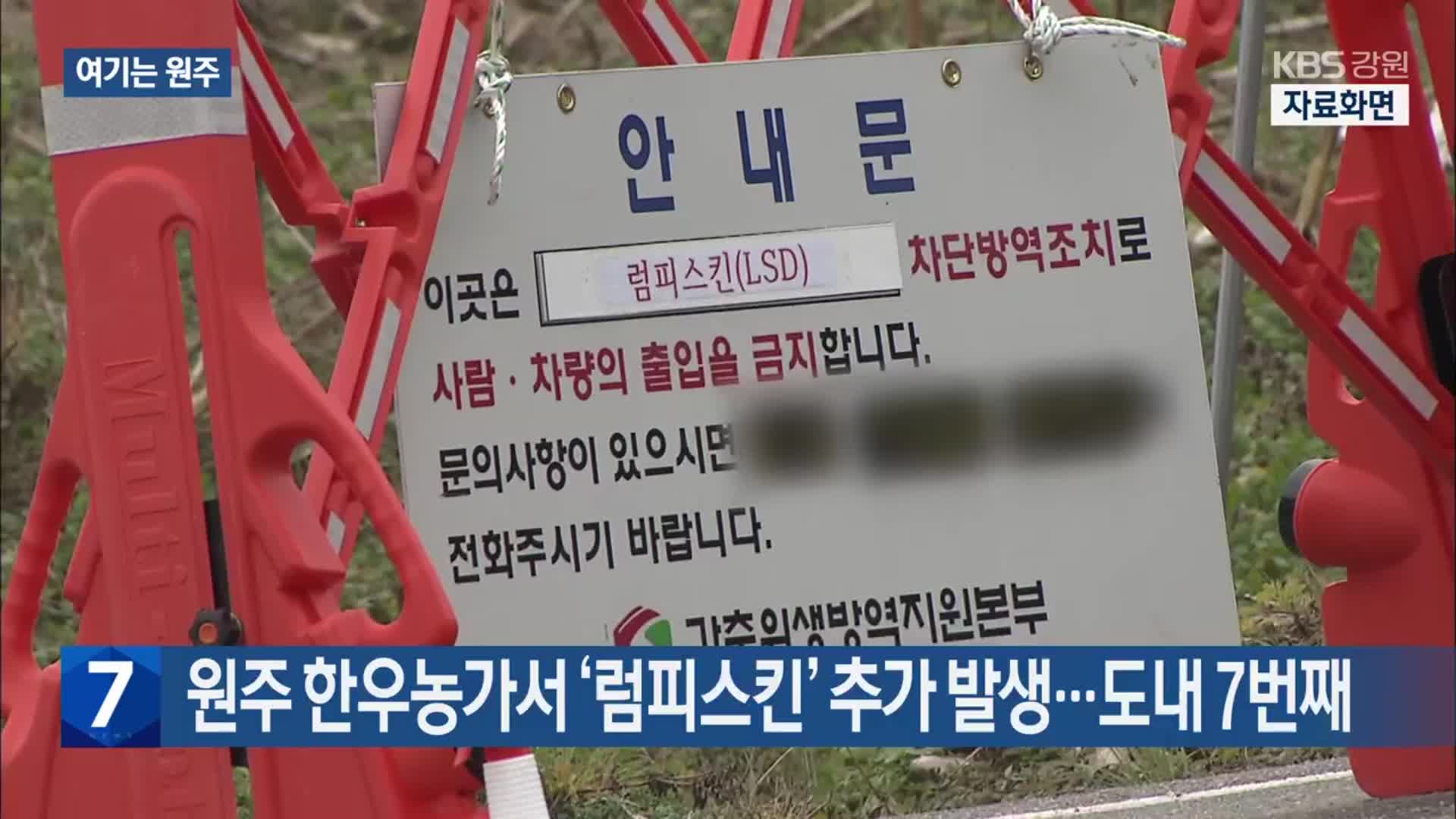 [여기는 원주] 원주 한우농가서 ‘럼피스킨’ 추가 발생…도내 7번째 외