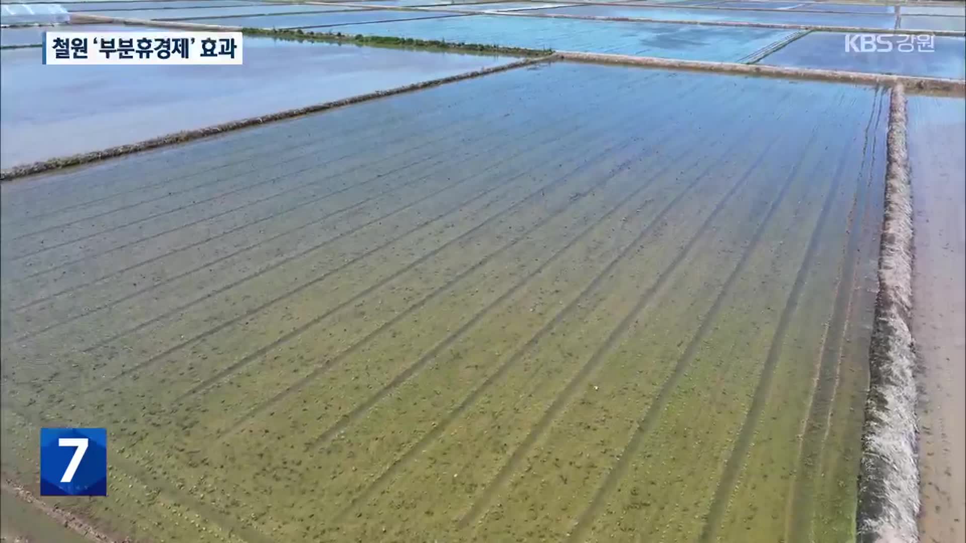 철원 부분휴경제 ‘성공’…내년 예산 대폭 확대