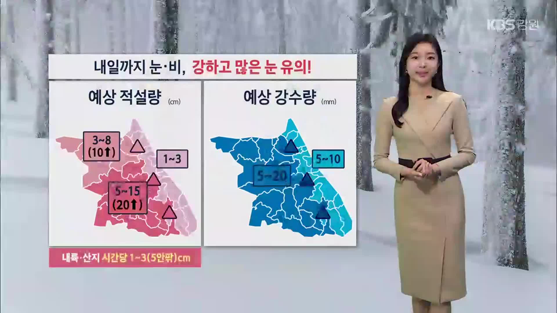 [날씨] 강원 내일까지 눈 최대 20cm↑…빙판길 조심