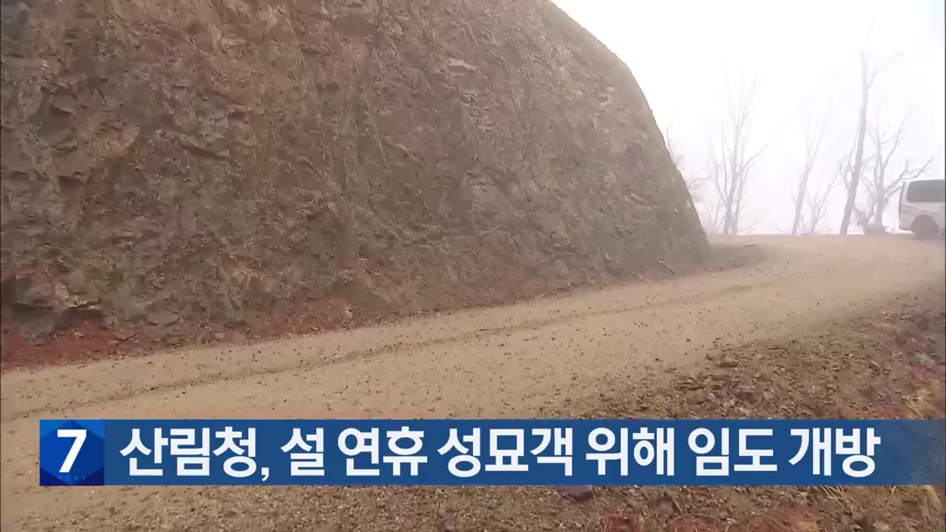 산림청, 설 연휴 성묘객 위해 임도 개방