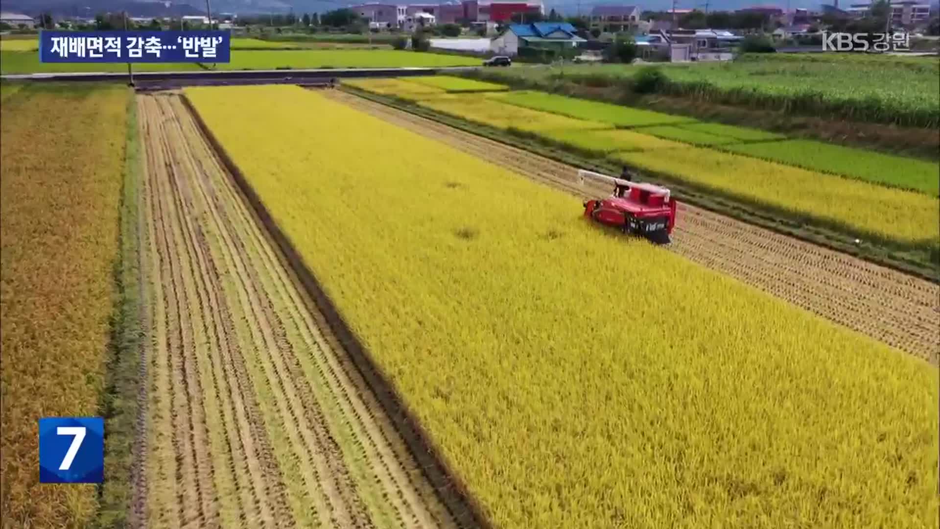 벼 재배면적 11% 감축…농민들 ‘반발’